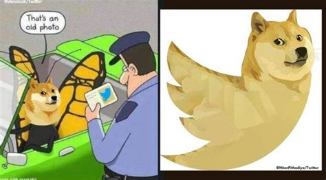  "image.png"