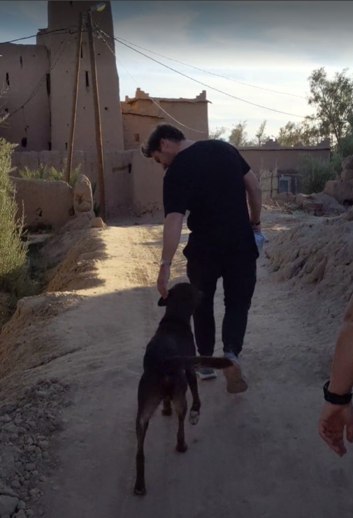 dog kasba skoura.jpg