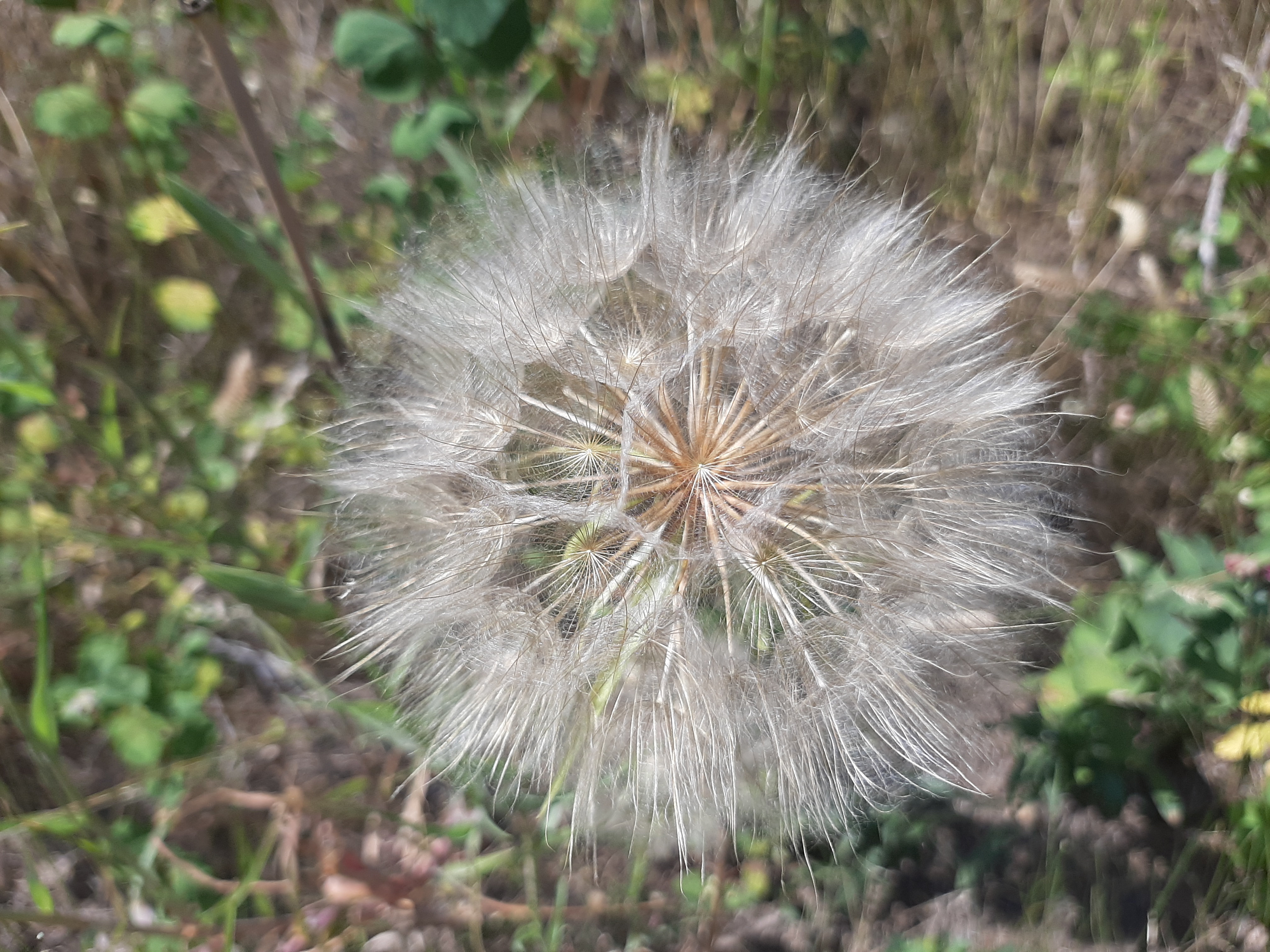 20190803_125035.jpg