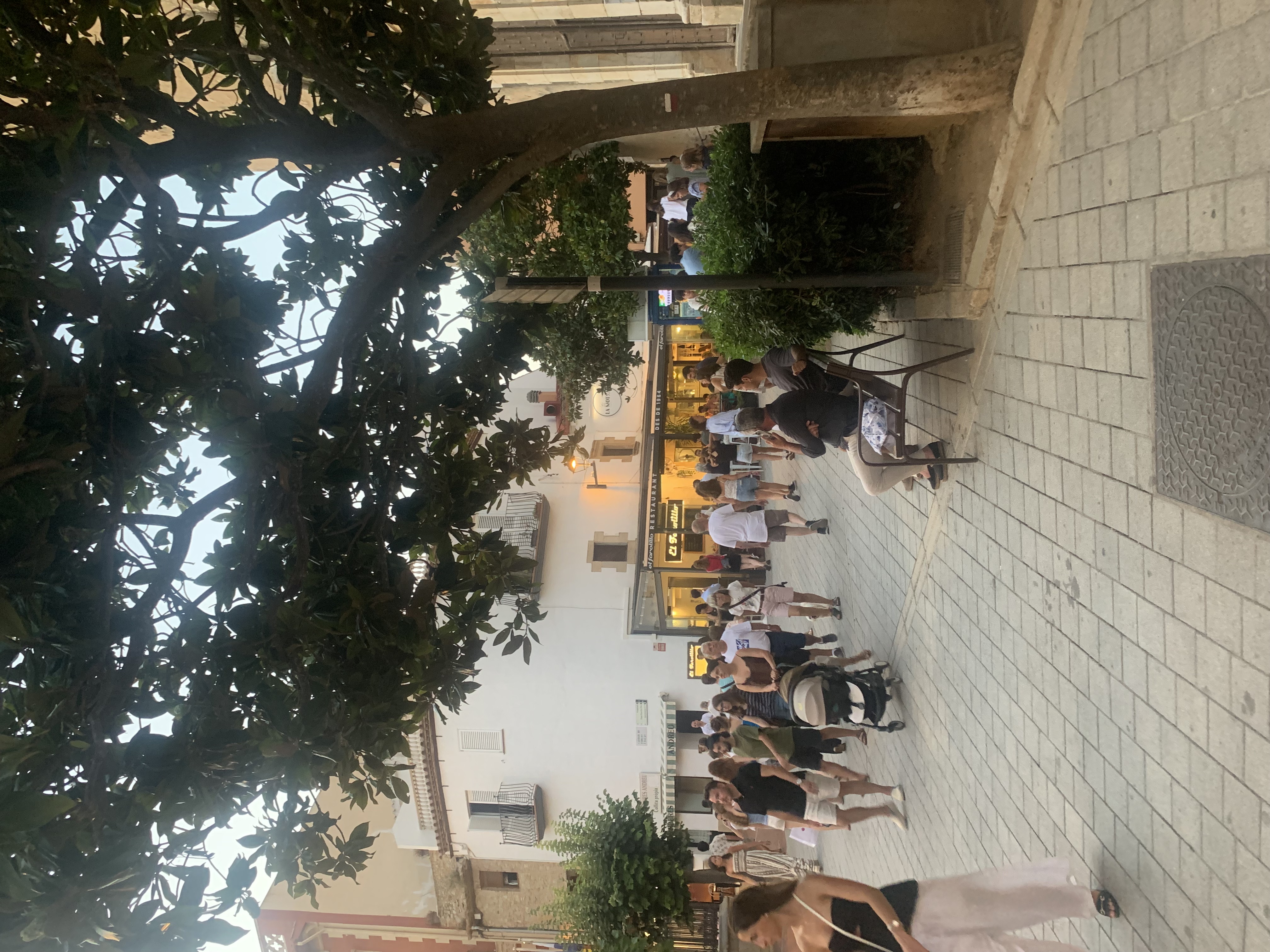 IMG_2035.jpeg