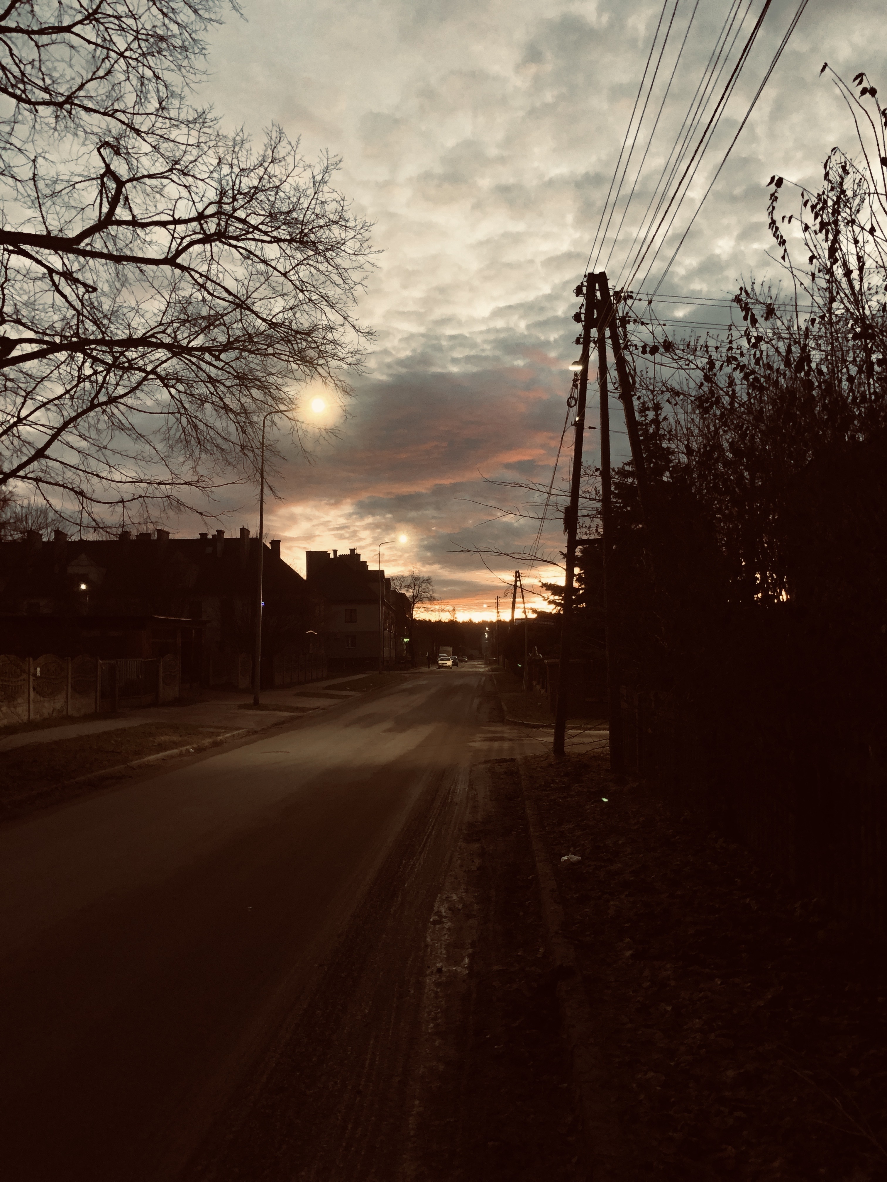 IMG_3792.jpeg