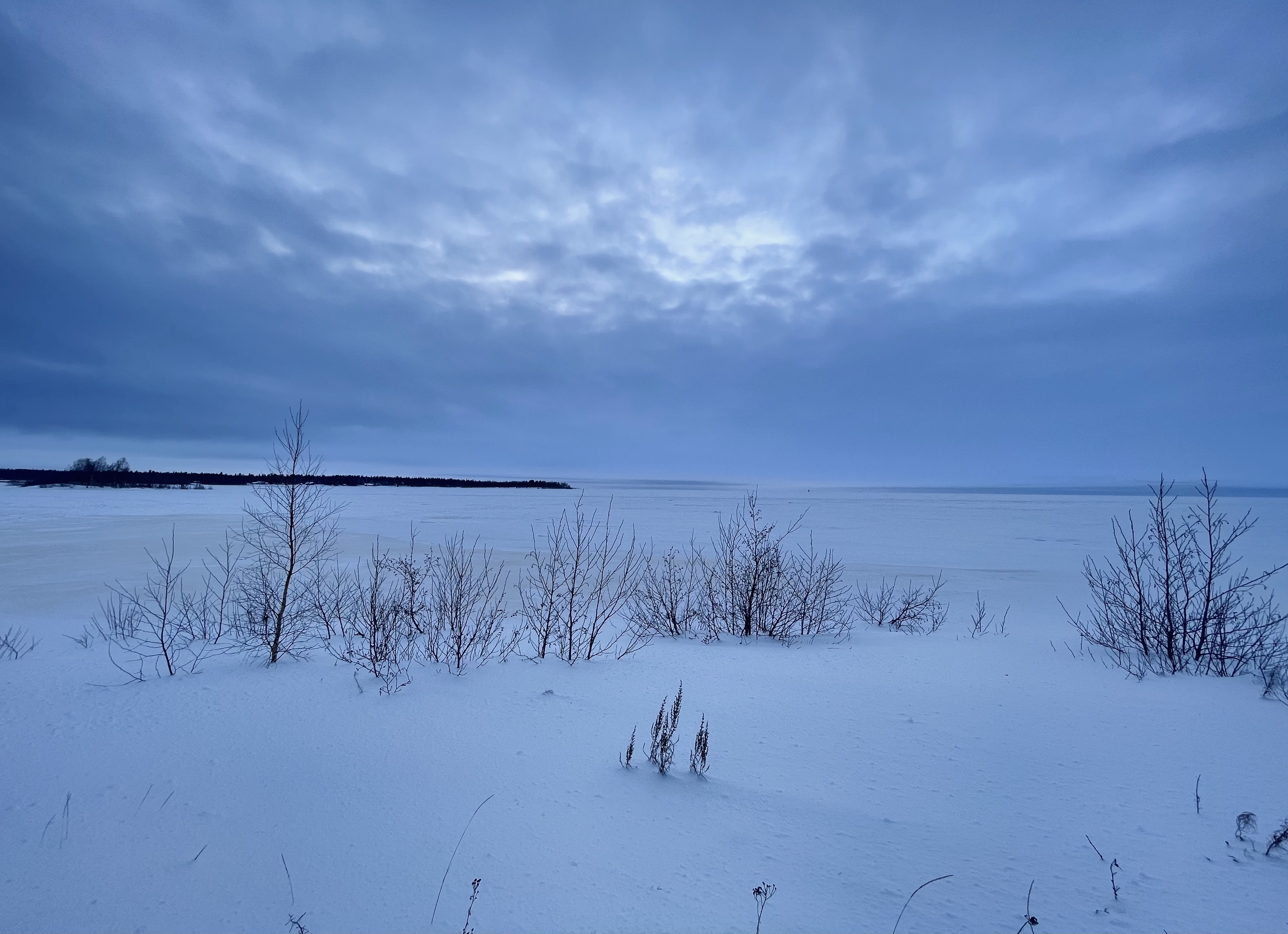 FA26D536-1159-4A6F-8593-4736F3F5EDAB.jpeg