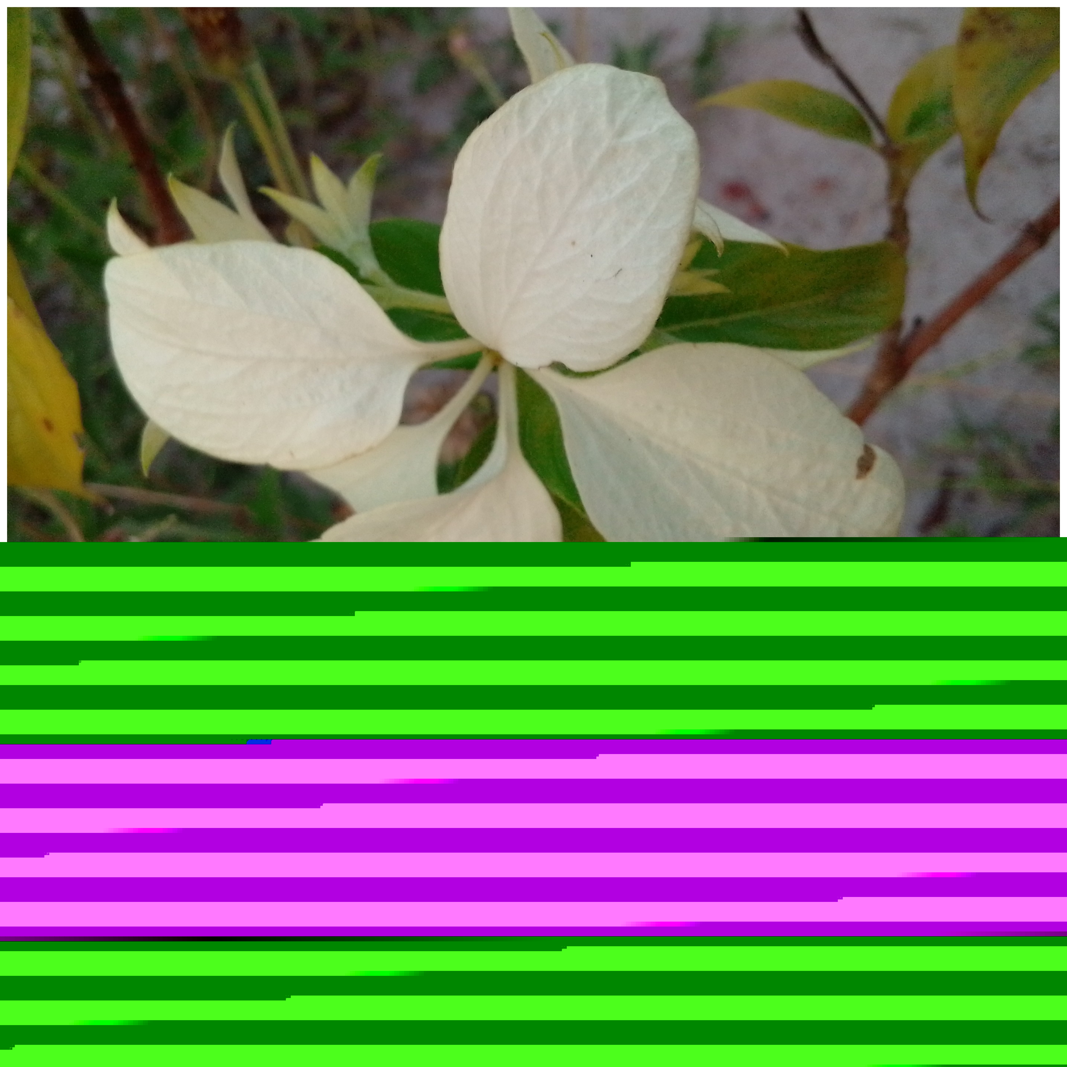 Picsart_22-08-30_15-06-43-818.jpg