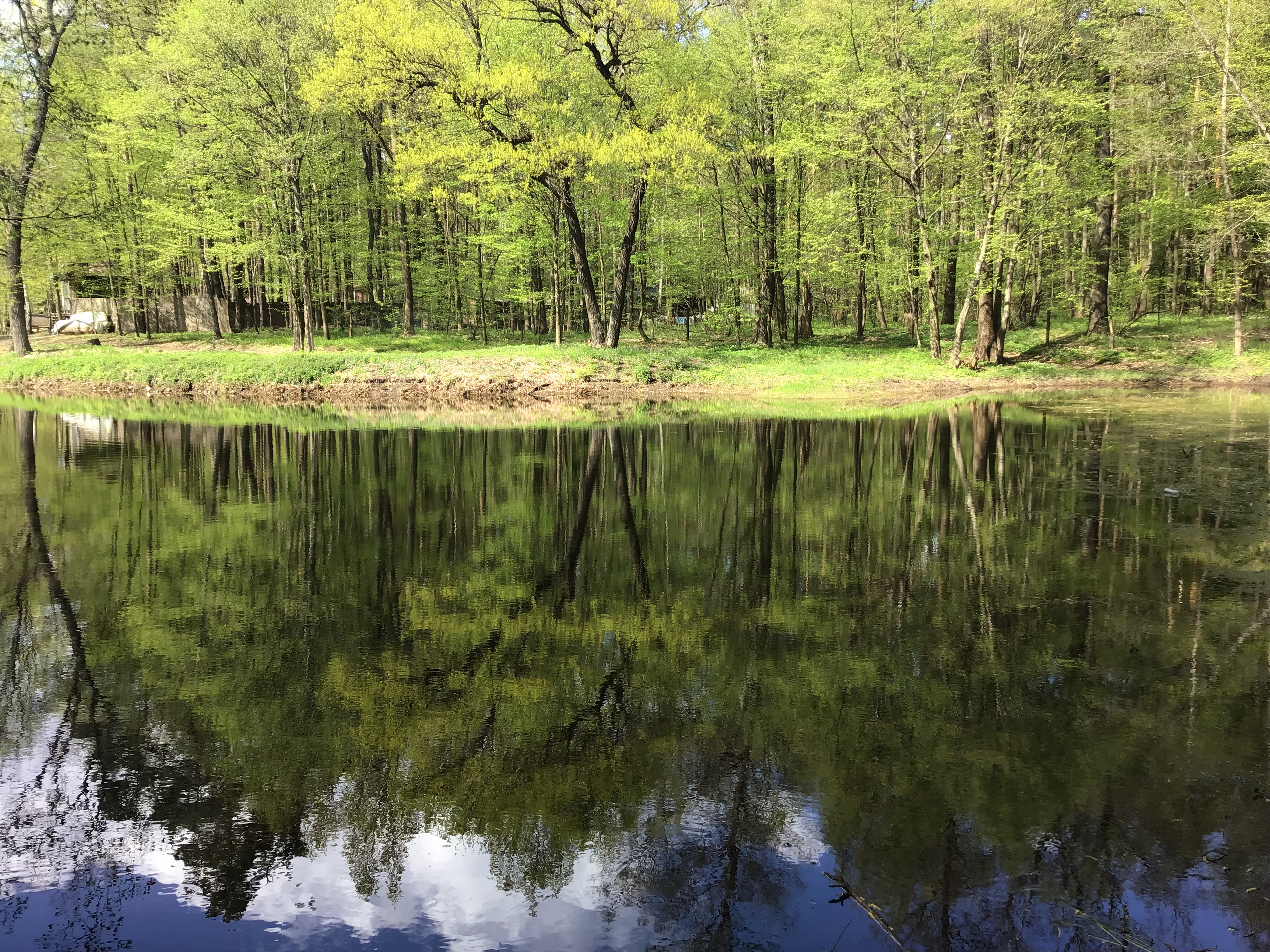 IMG_5696.jpeg