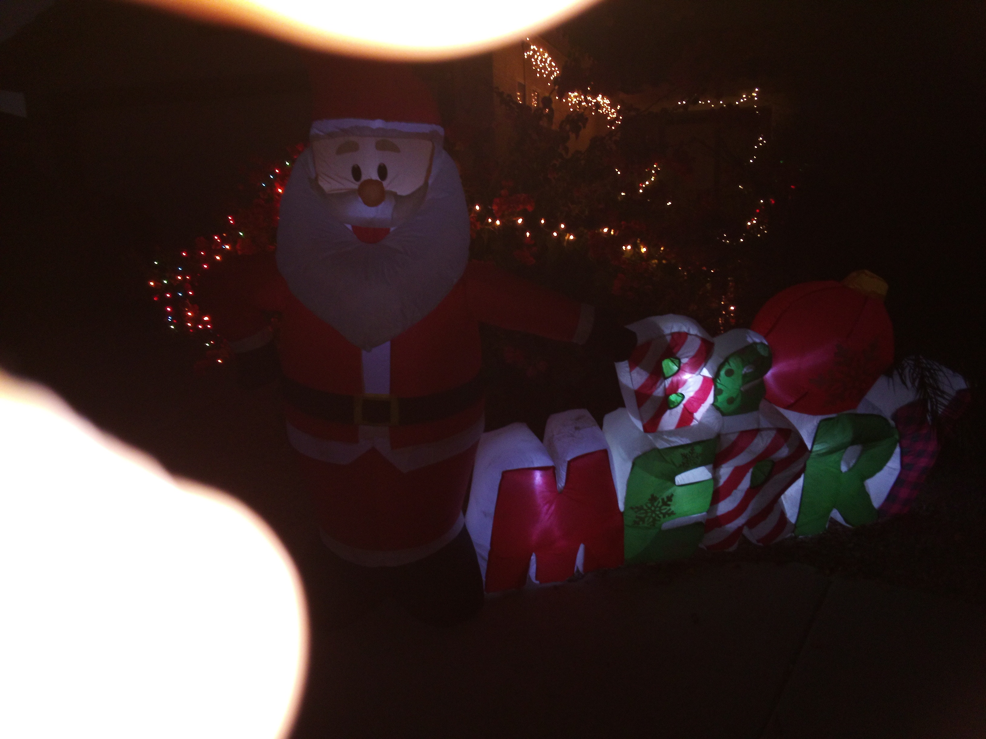 IMG_20241211_064615187.jpg