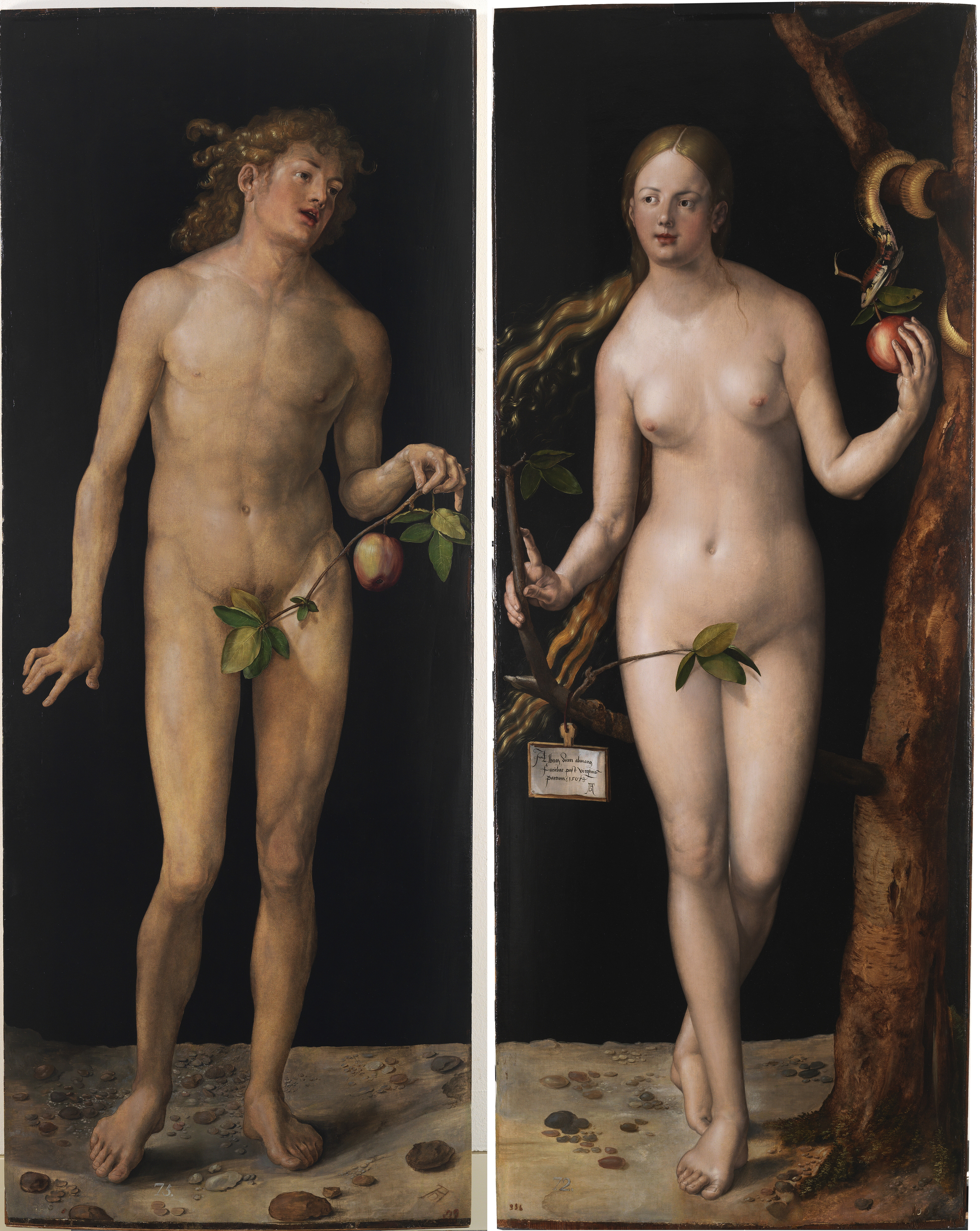 Albrecht_Dürer_-_Adam_and_Eve_(Prado)_2.jpg