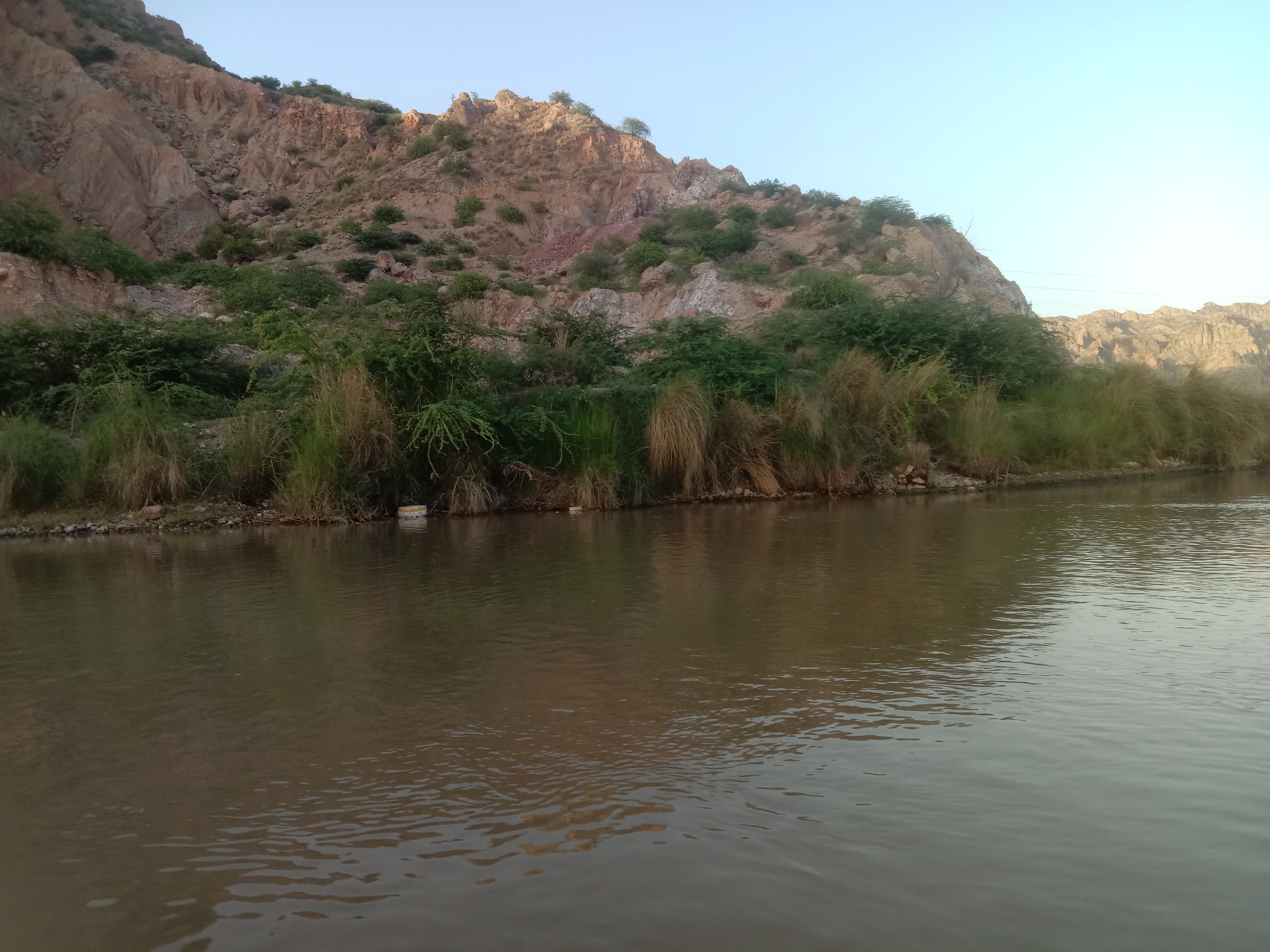 IMG_20240505_181219.jpg