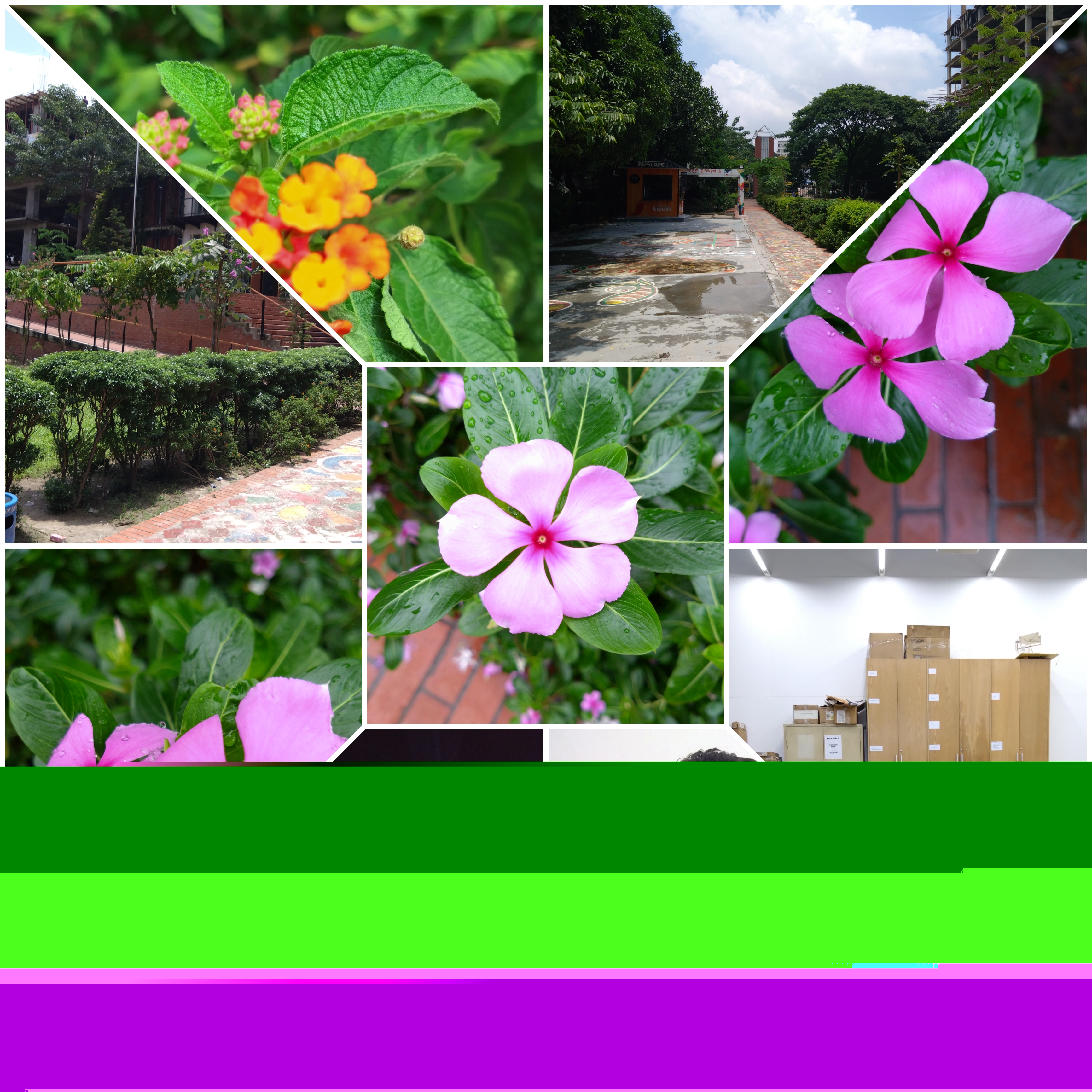 Picsart_25-07-13_19-46-46-158.jpg