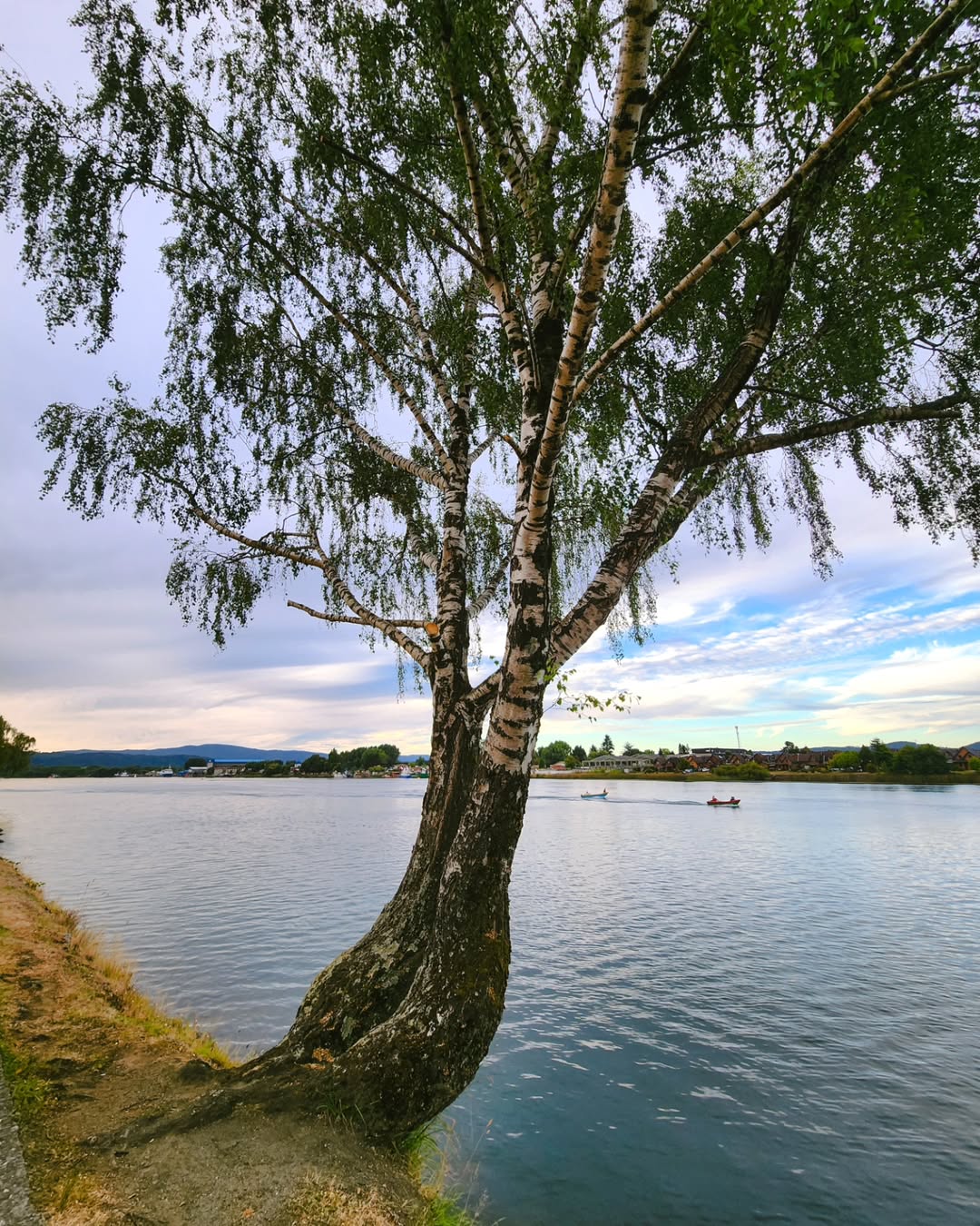 Creo que cada rincón de esta ciudad es fotogenico, eso me da tantas ideas...   ....#rinconcitosdevaldivia #rancgo #valdivia.heic (3).jpg