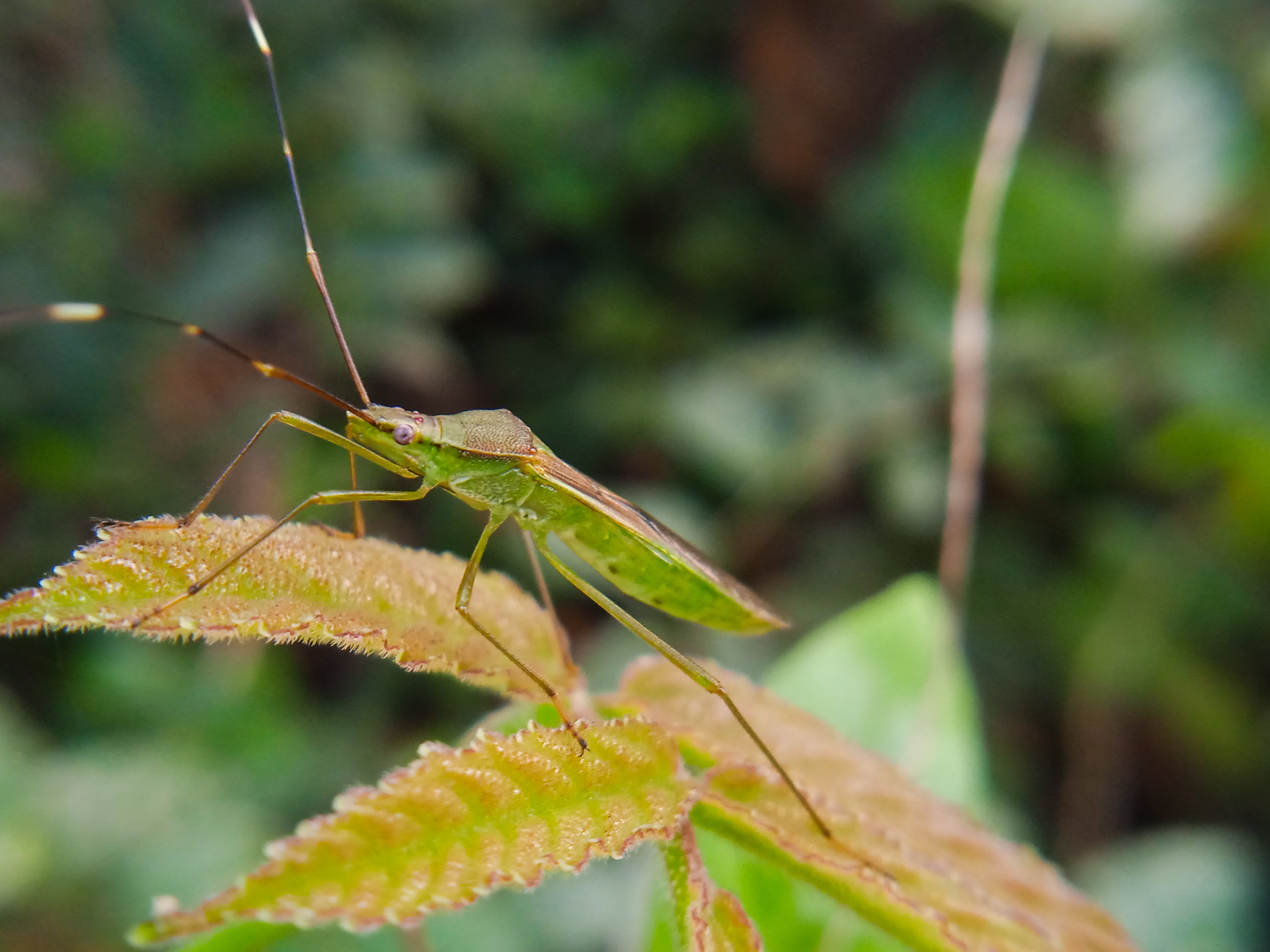 IMG_20220125_214318.jpg