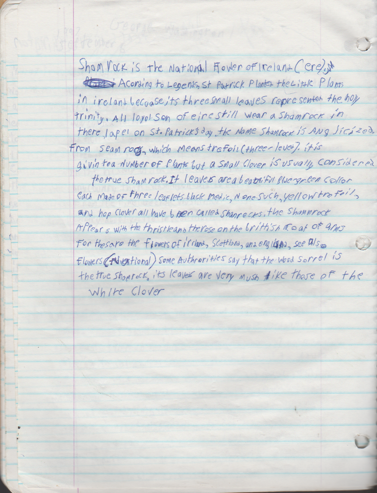 1996-08-18 - Saturday - 11 yr old Joey Arnold's School Book, dates through to 1998 apx, mostly 96, Writings, Drawings, Etc-021.png