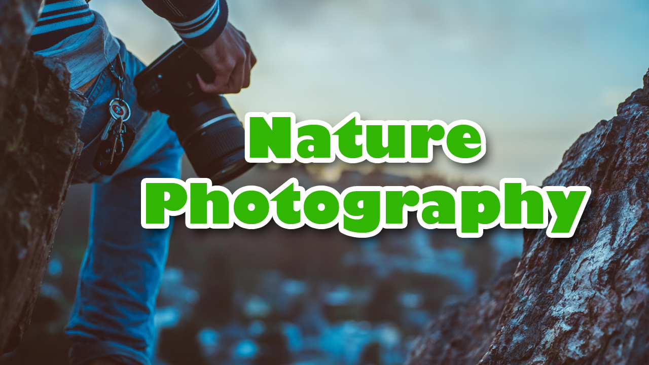 NaturPhotography.png