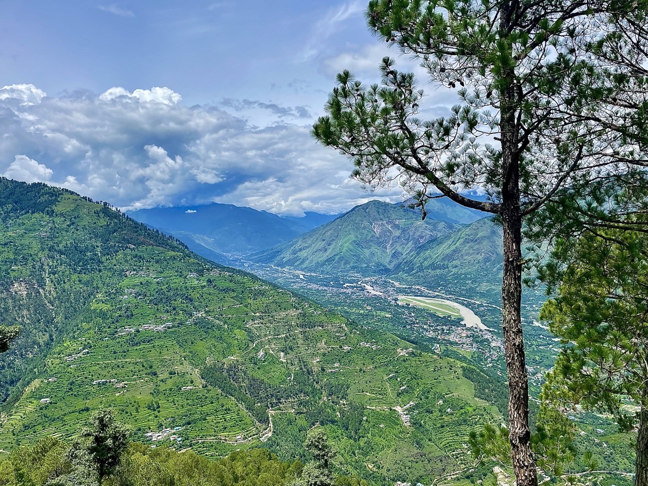 IMG_7655 2 Large Large.jpeg