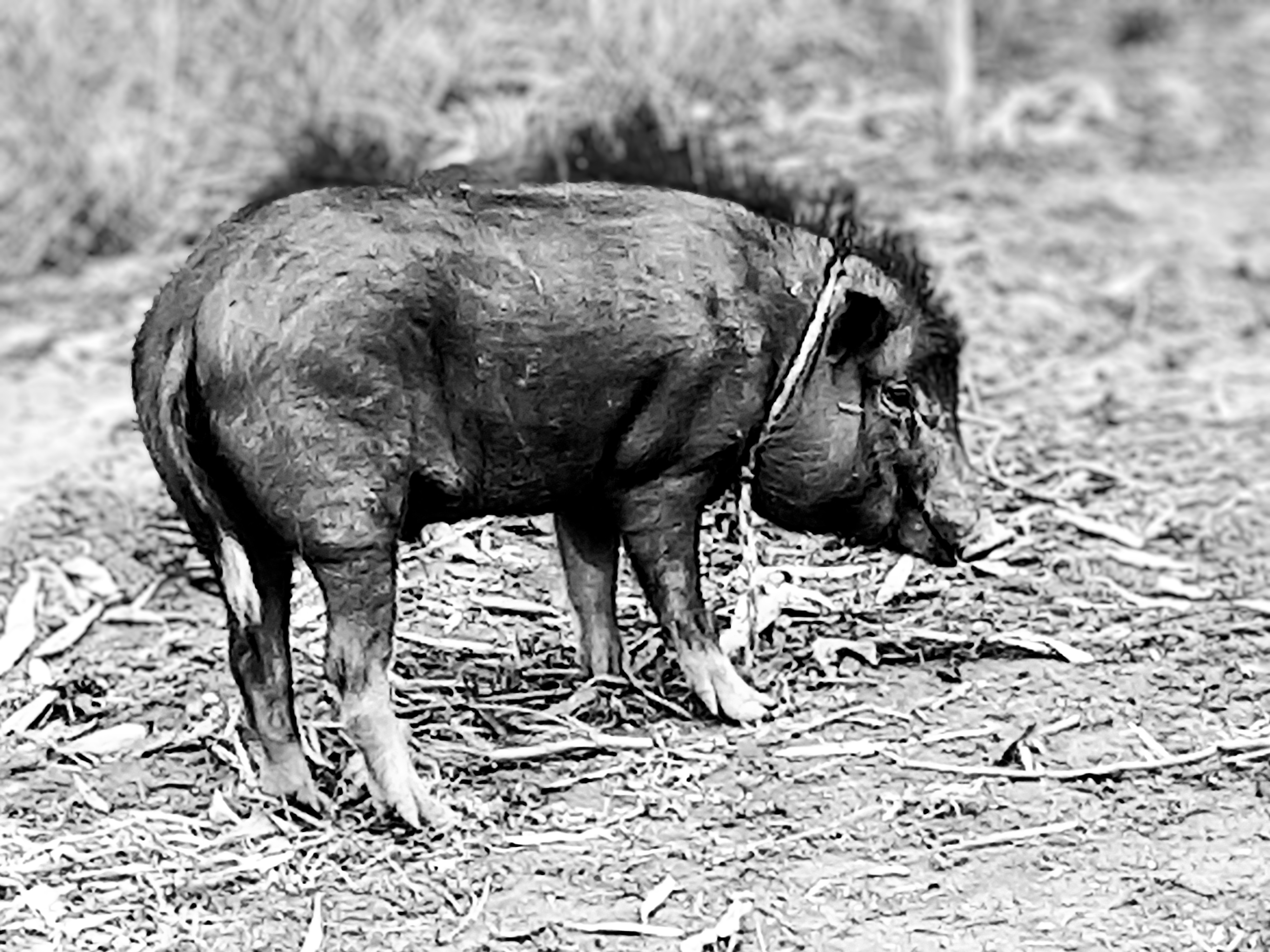 20250417_124857(0)~3.jpg