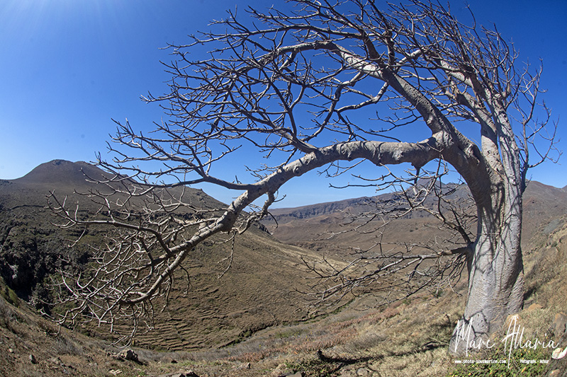 cabo_verde_12_3.jpeg