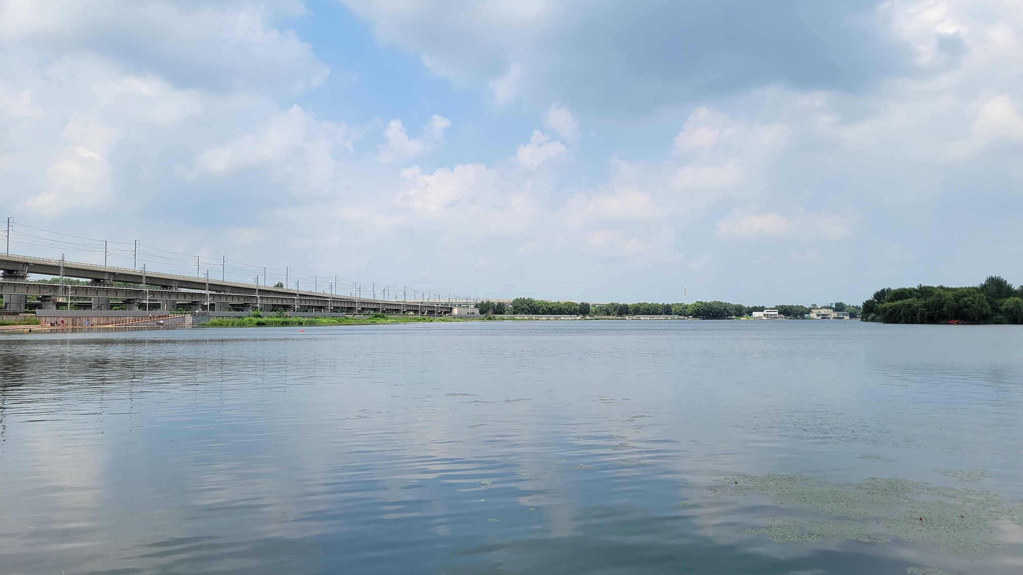 20230709_112446.jpg