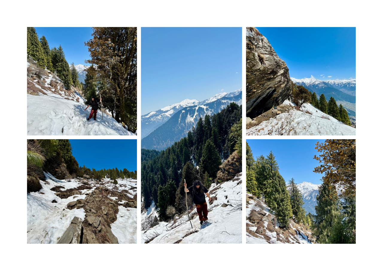 Brown and Beige Simple Interior Photo Collage Landscape A3.png