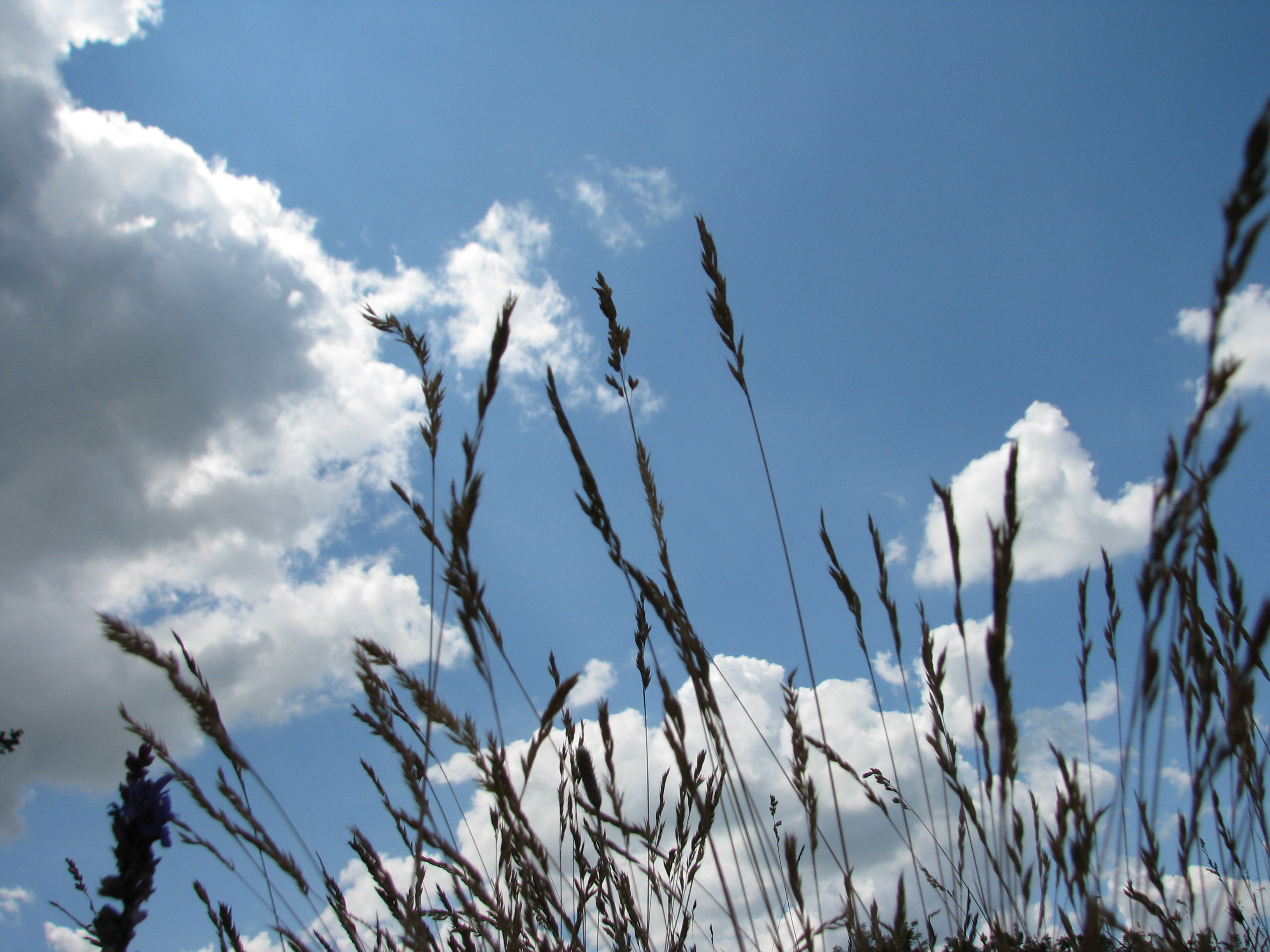 2009.06.14 12.38.14.jpg