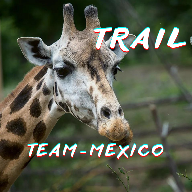 TRAIL.png