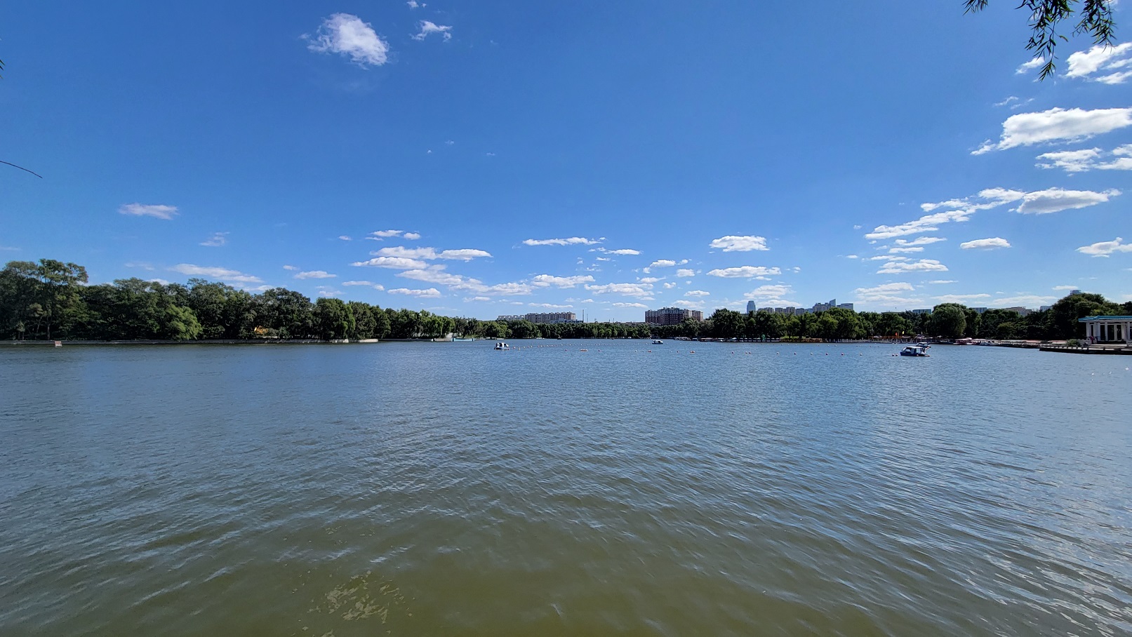 20220919_125557.jpg