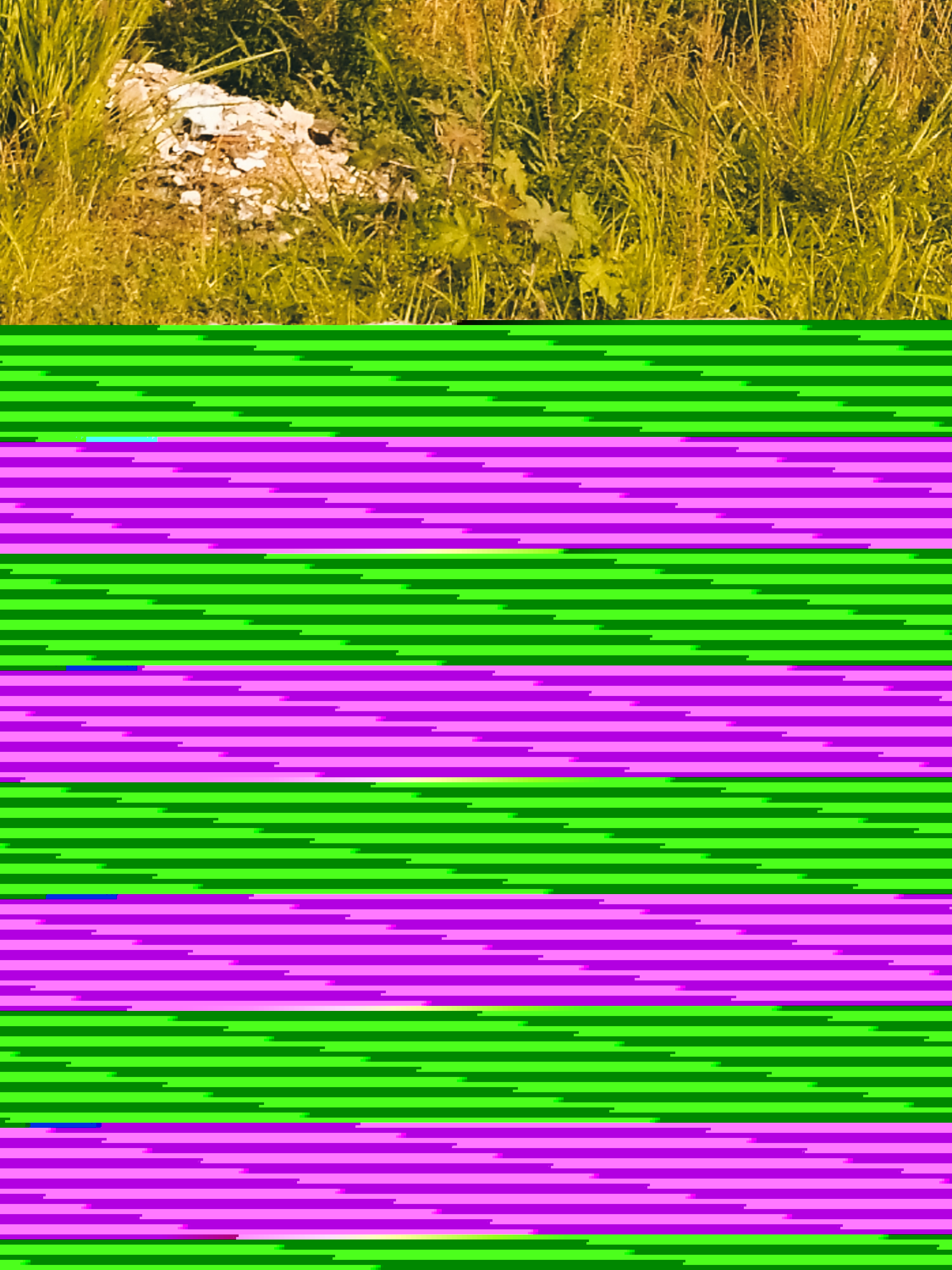 Picsart_22-08-06_05-27-45-010.jpg