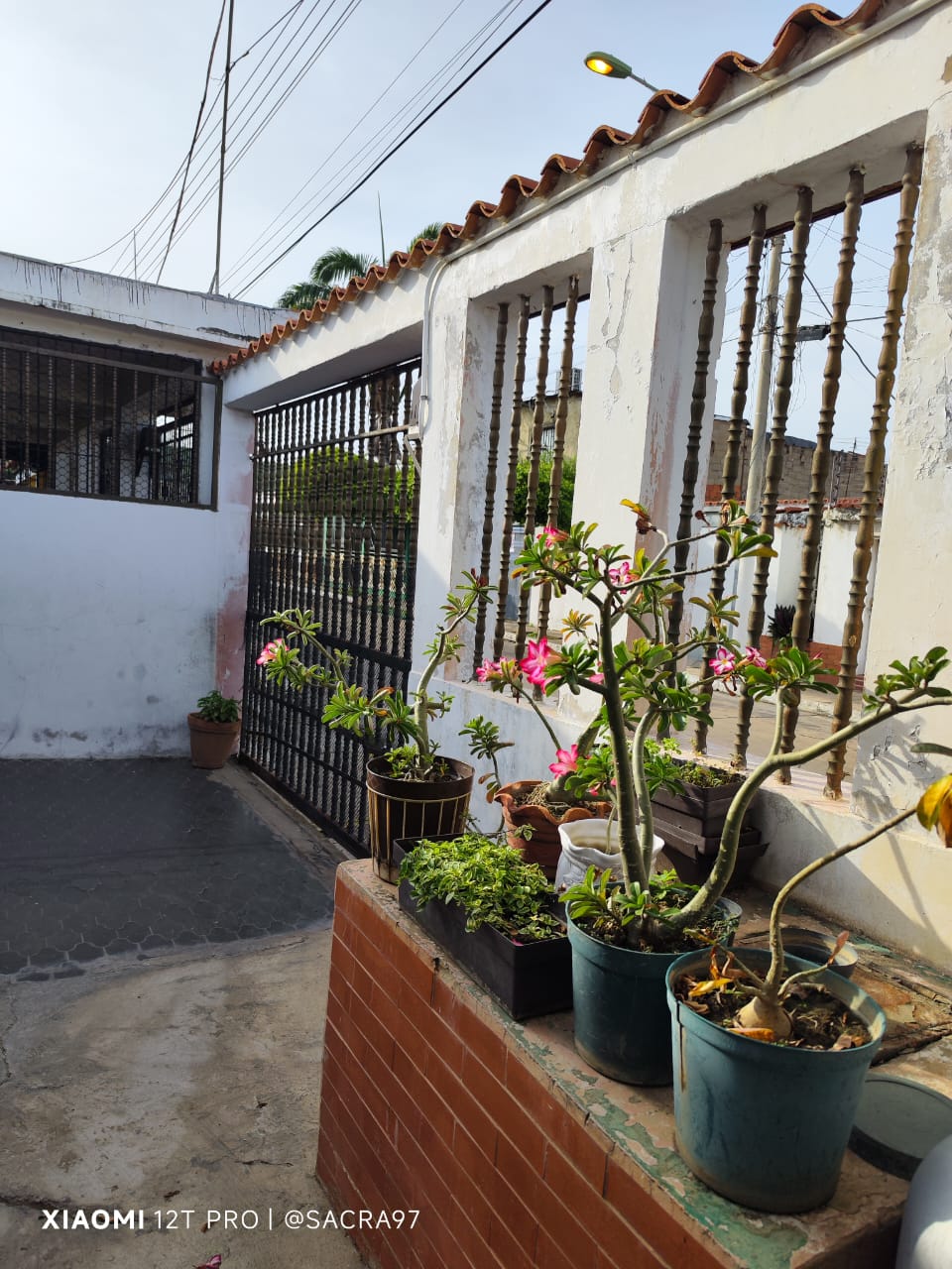 Sin título-3.jpg