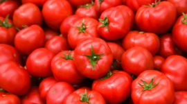 Tomato_resized.png