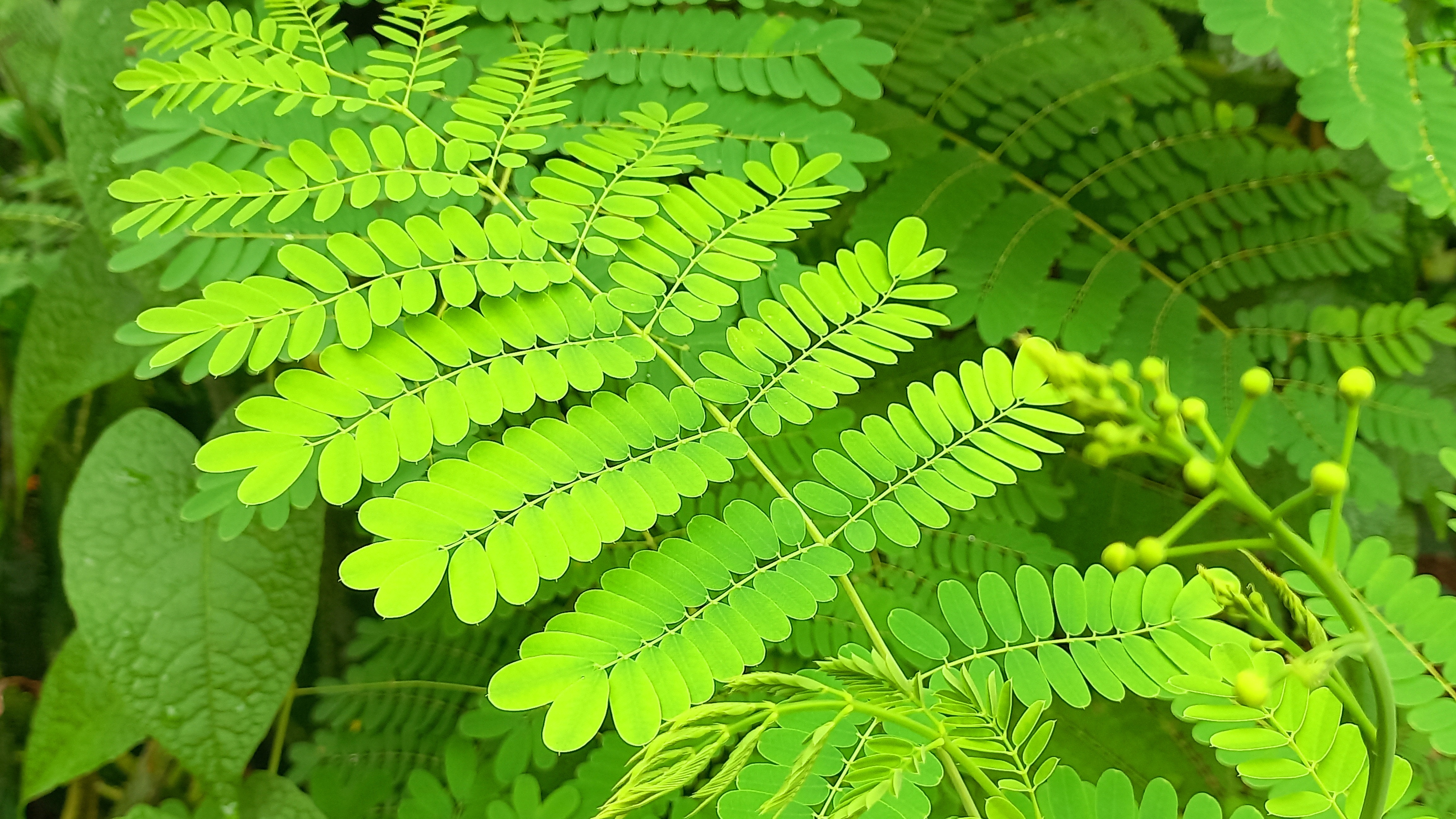 20240810_122804.jpg