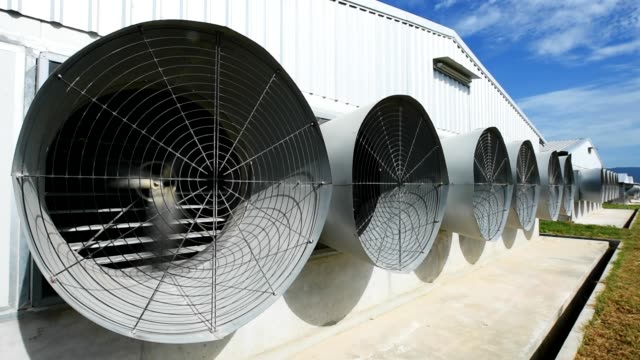 Industrial-Fans-Available-on-the-Market.jpeg