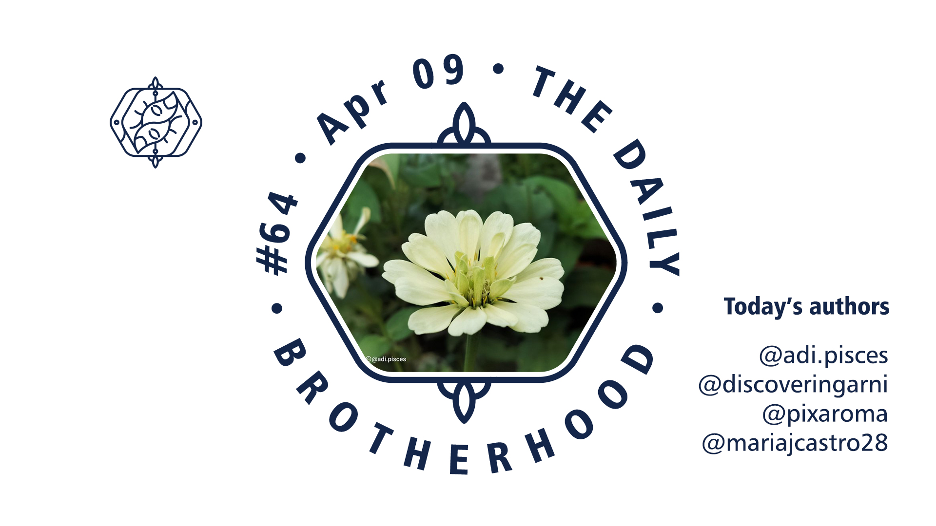 logo_brotherhood_08_64_e.jpg