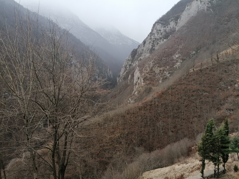 IMG_20230207_124619.jpg