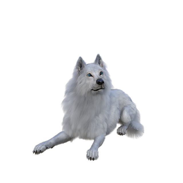 wolf-6915801_640.png