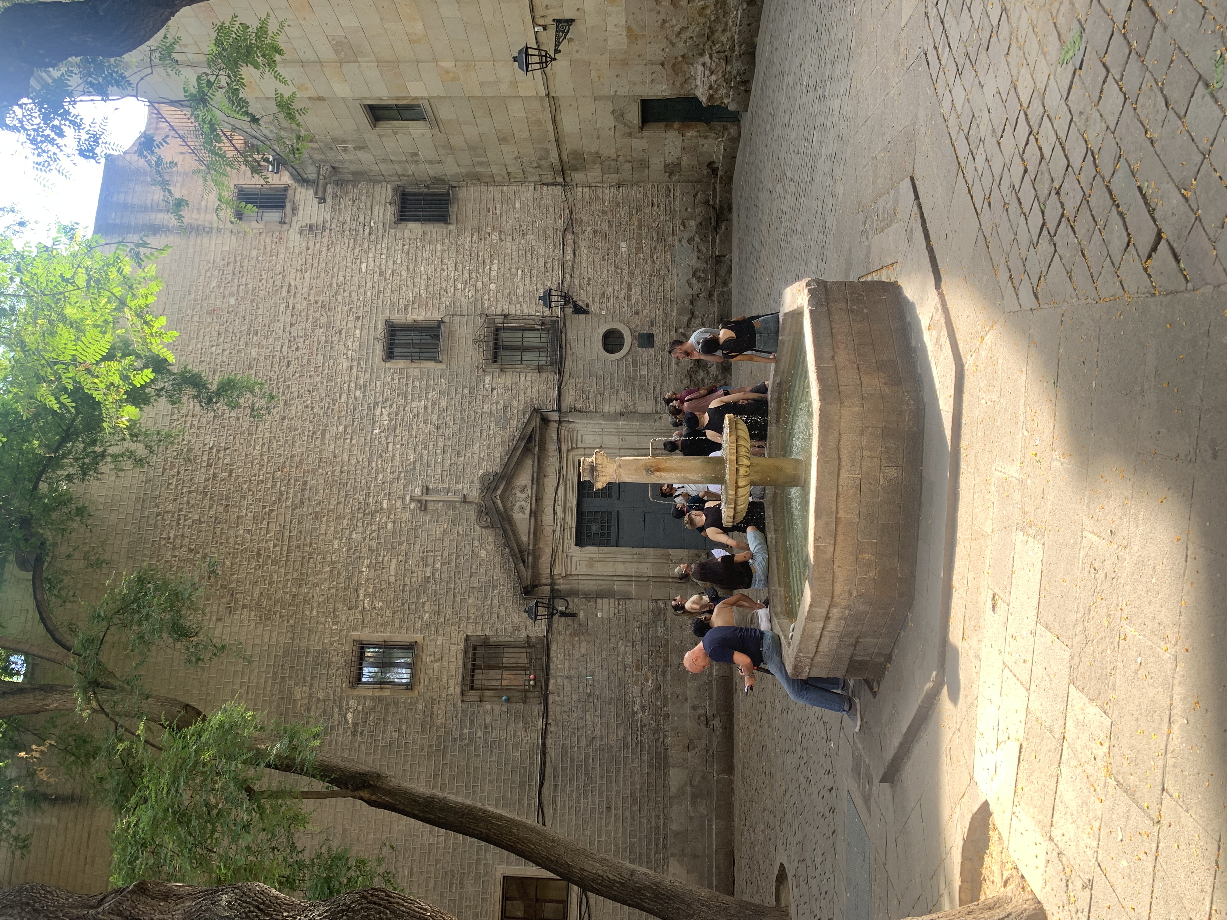 IMG_2086.jpeg