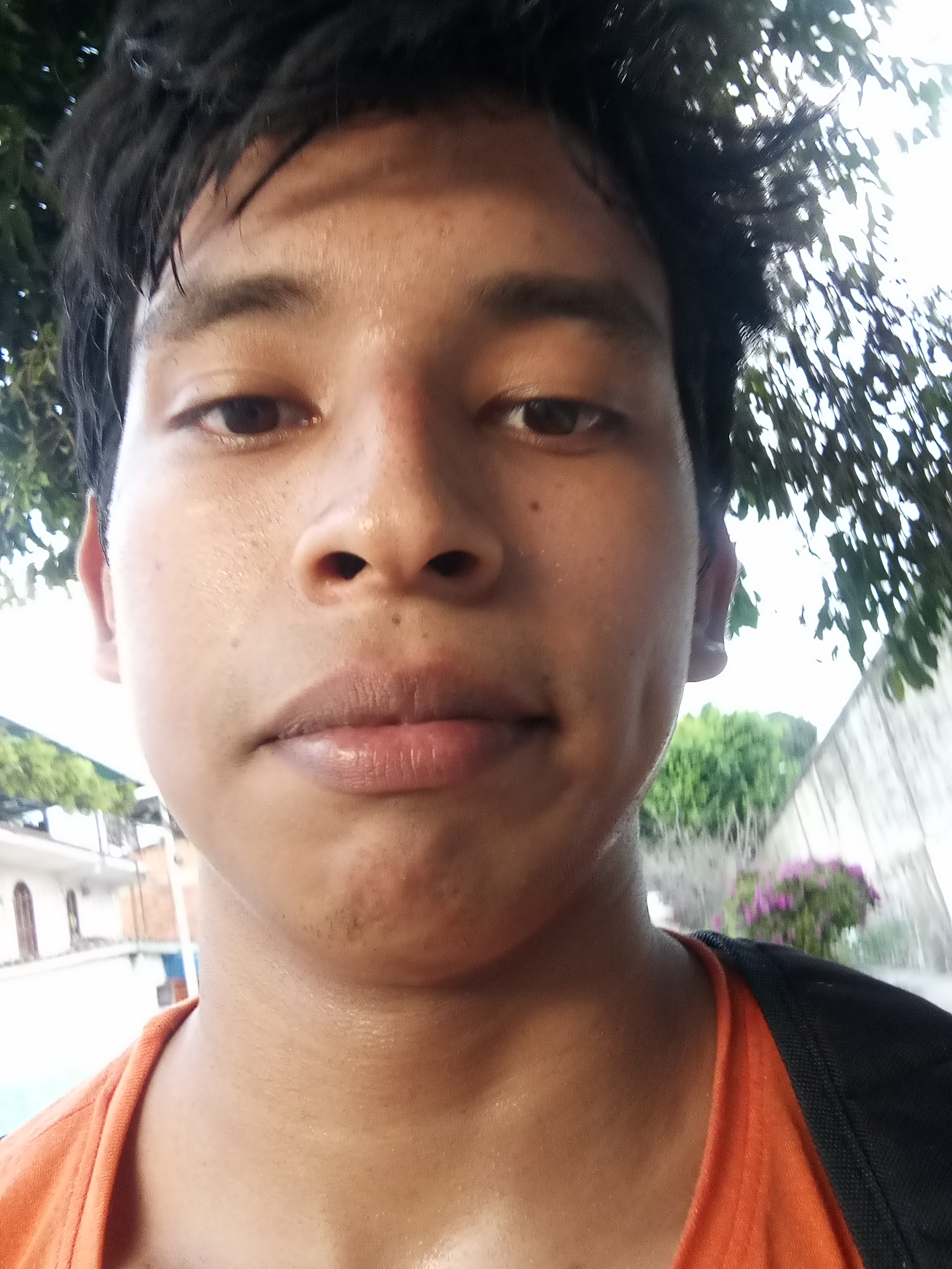 IMG_20250127_180212_261.jpg