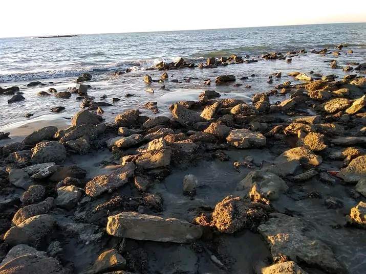 received_719298873149620.jpeg