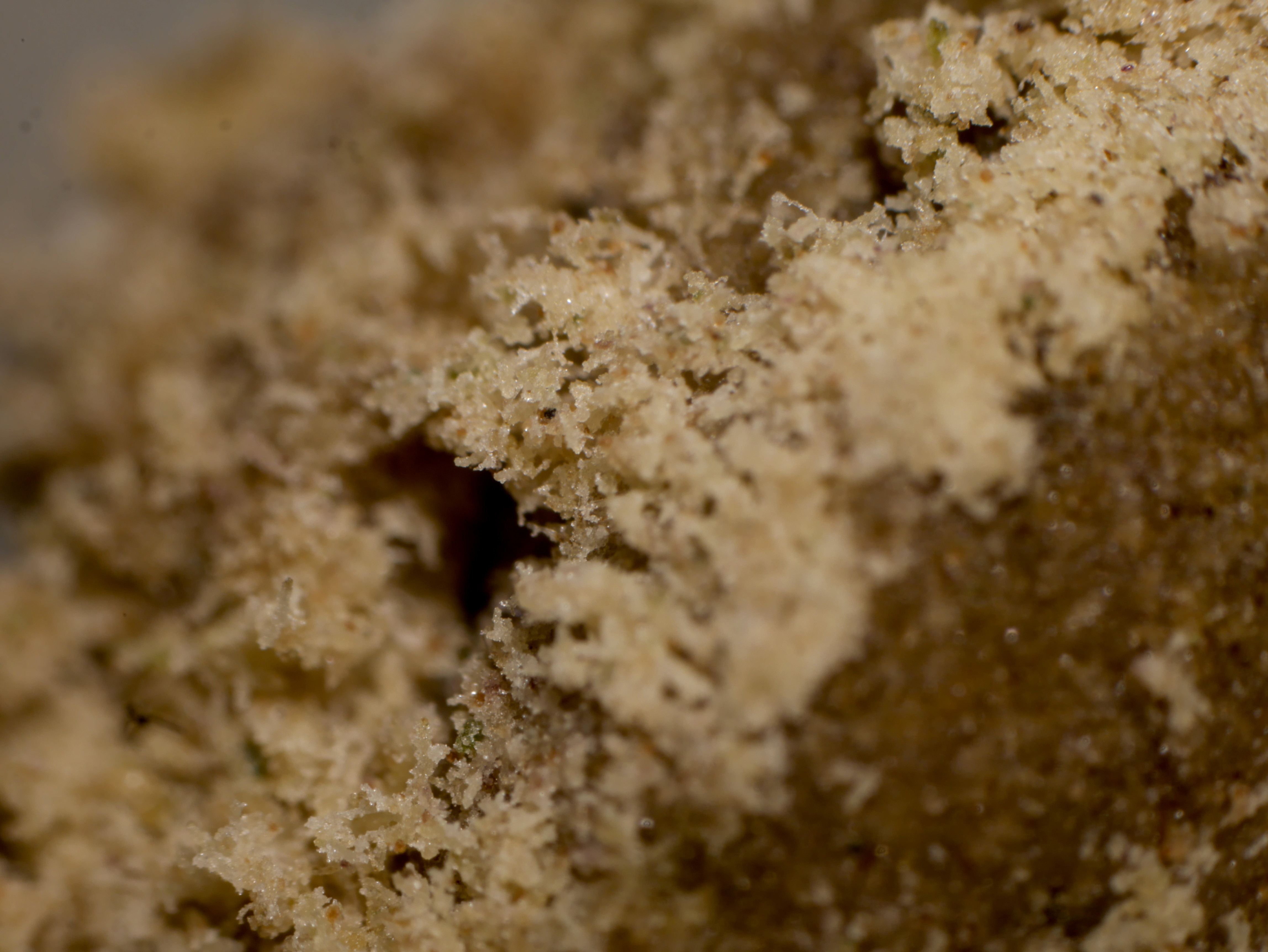 20250118_0001.jpg