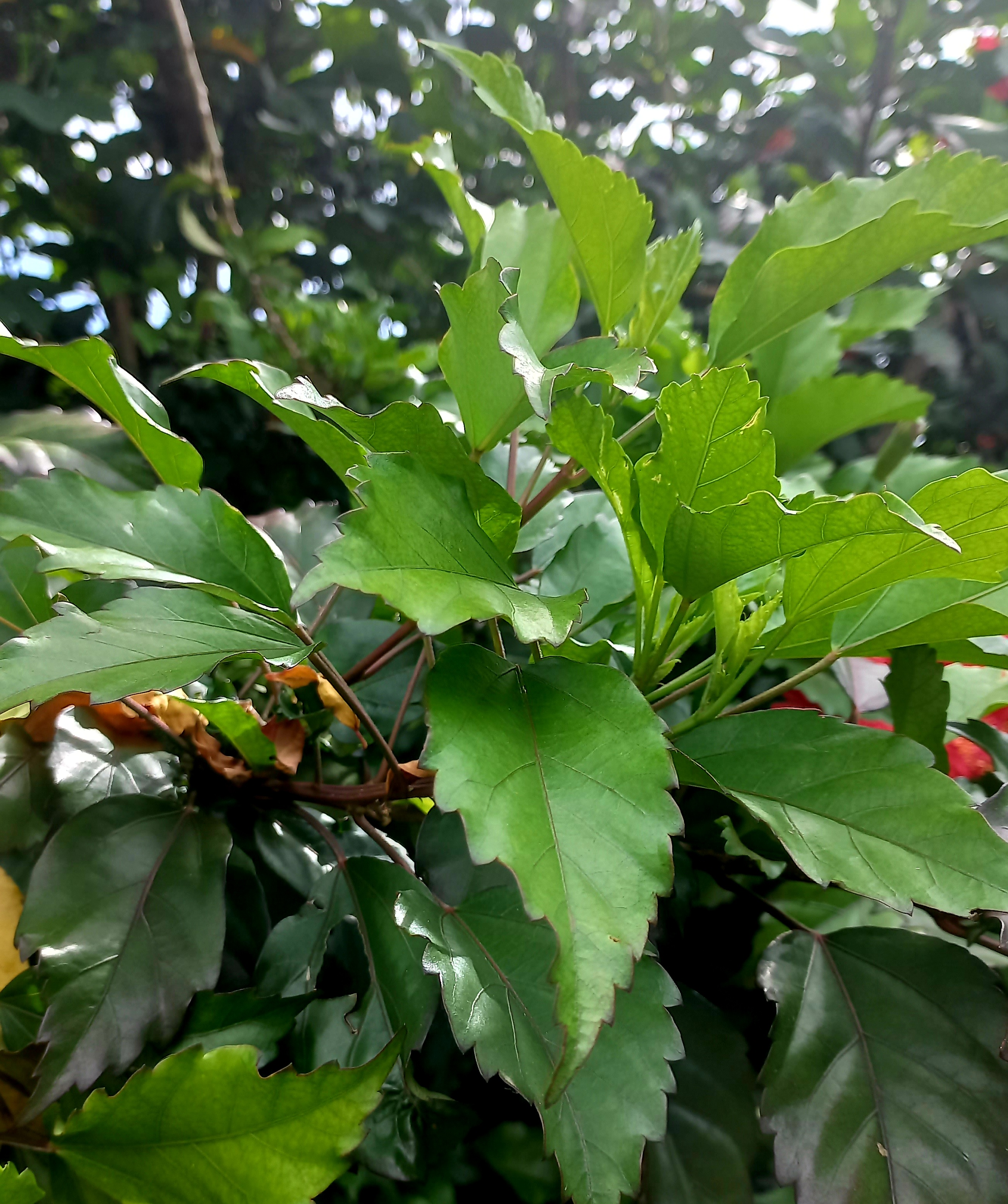 20220904_144912.jpg
