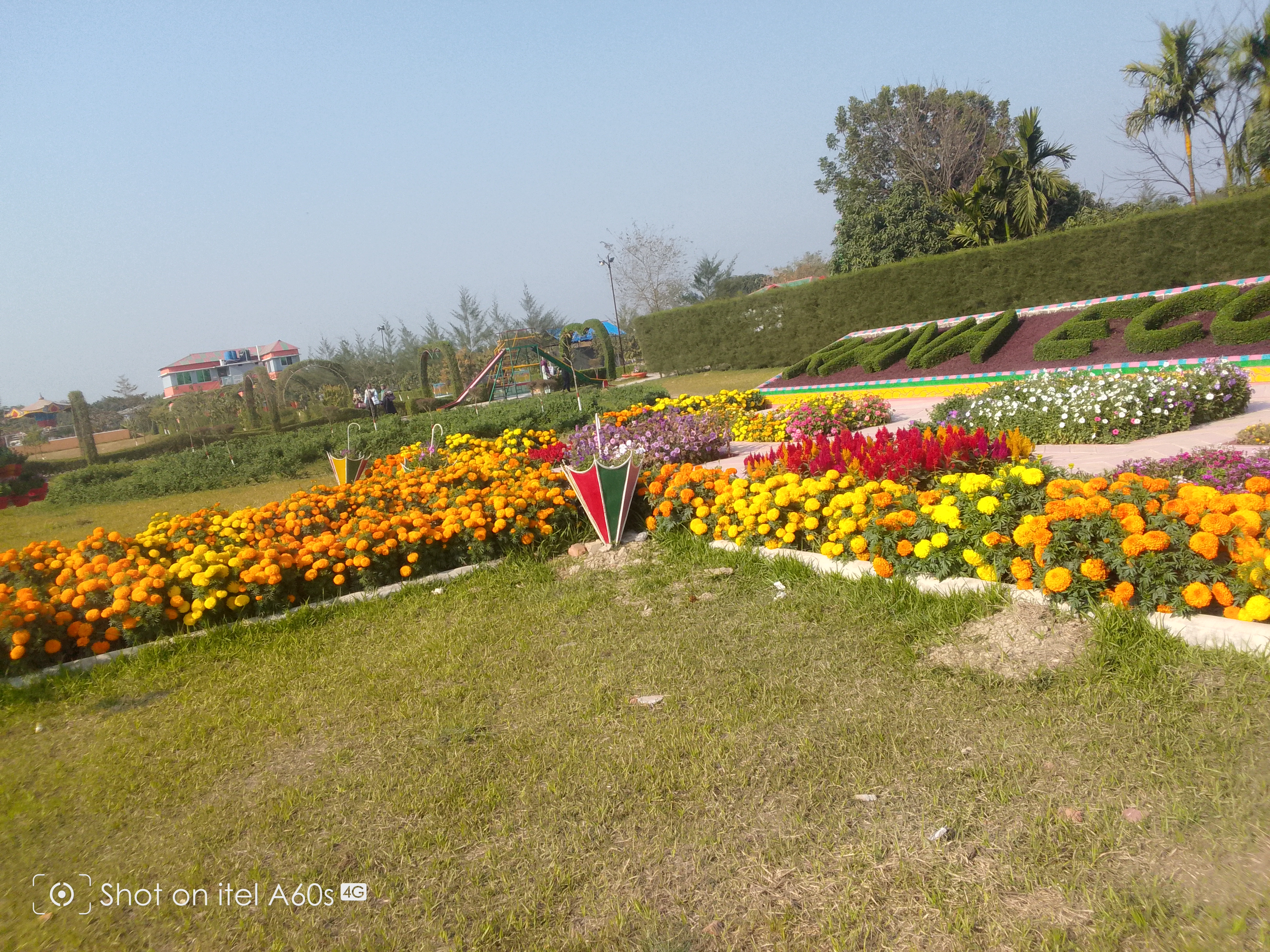IMG_20250215_151408_778.jpg