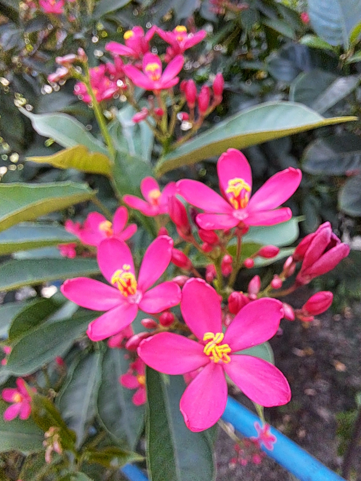 20220910_110822.jpg