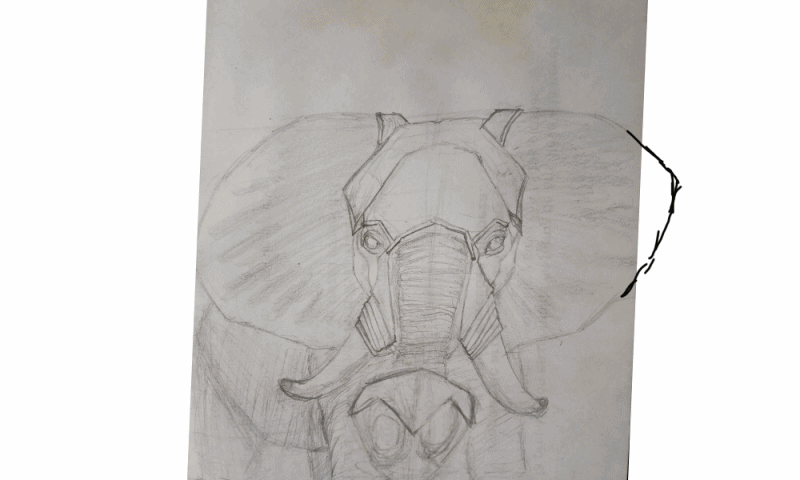 Pintado Elefante.gif