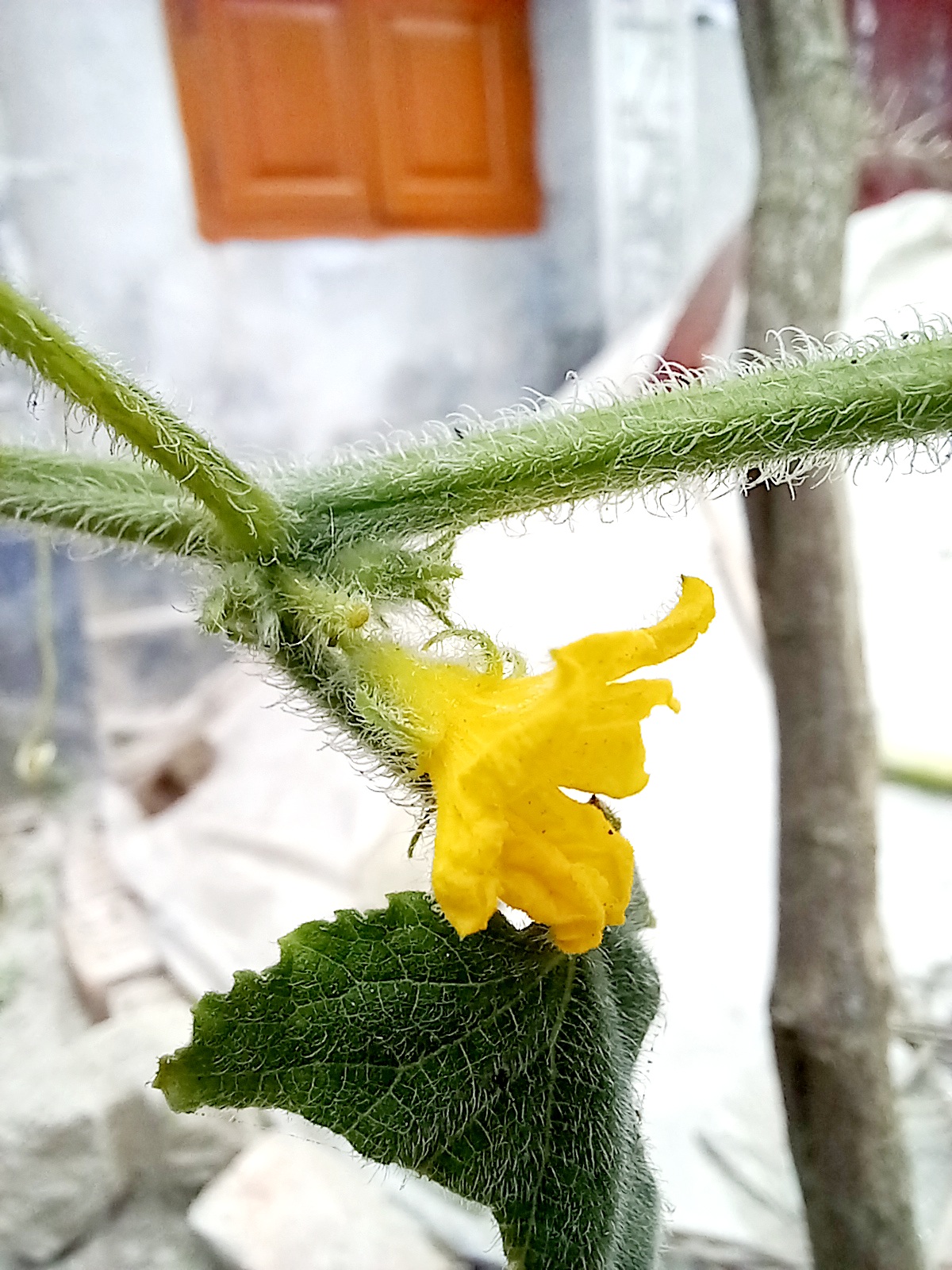 20220715_110136.jpg