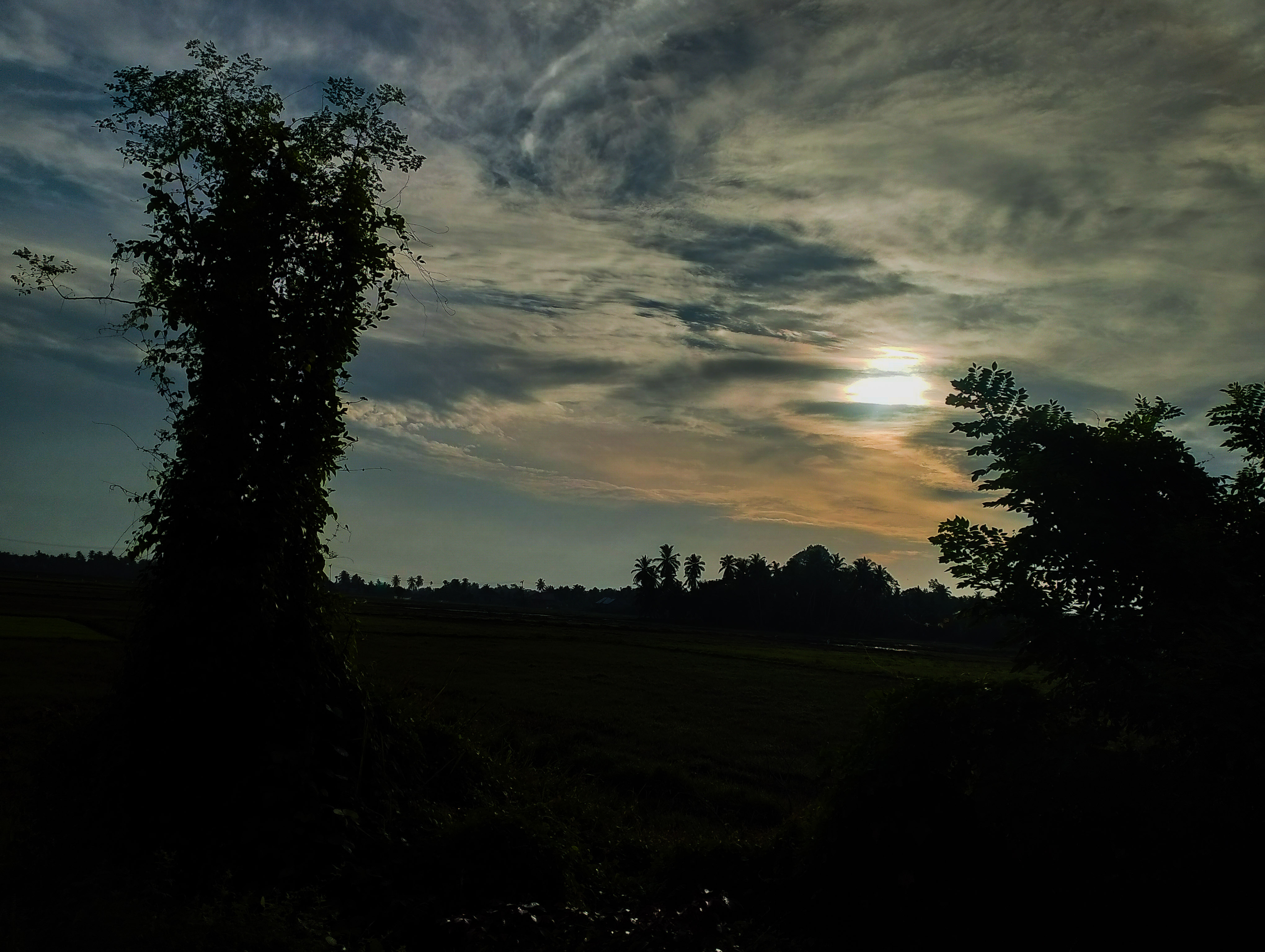 PSX_20250805_102726.jpg