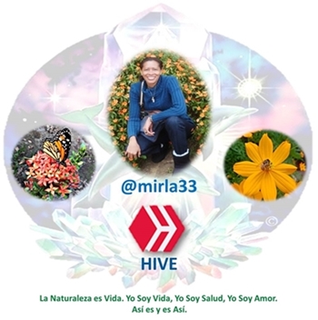 Logo Hive.jpg