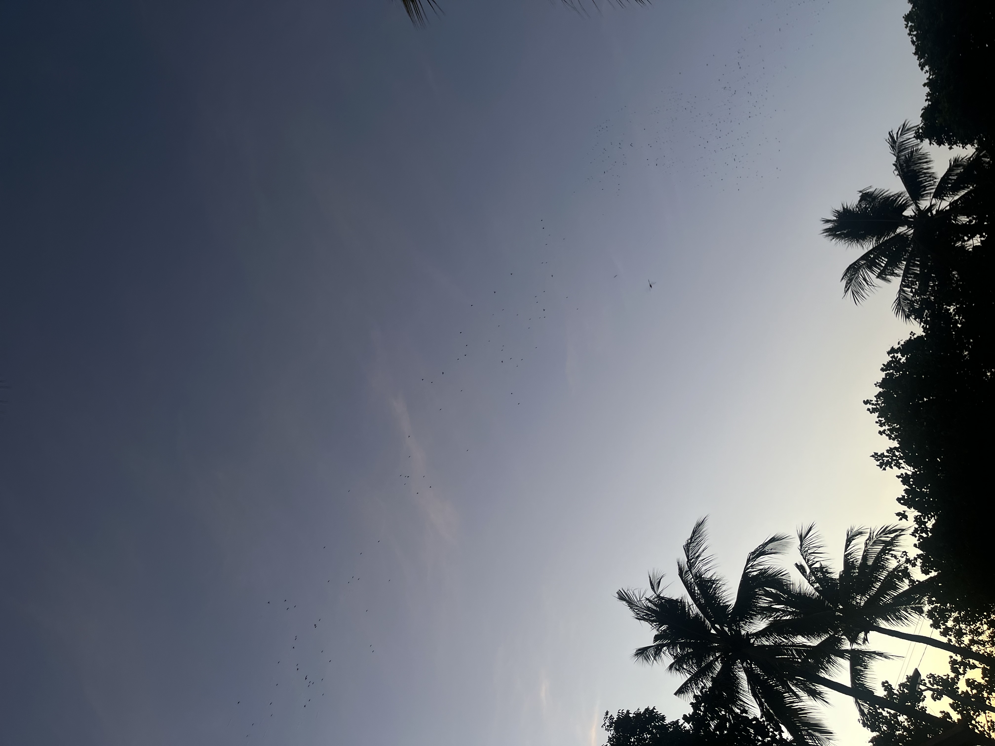IMG_6159.jpeg