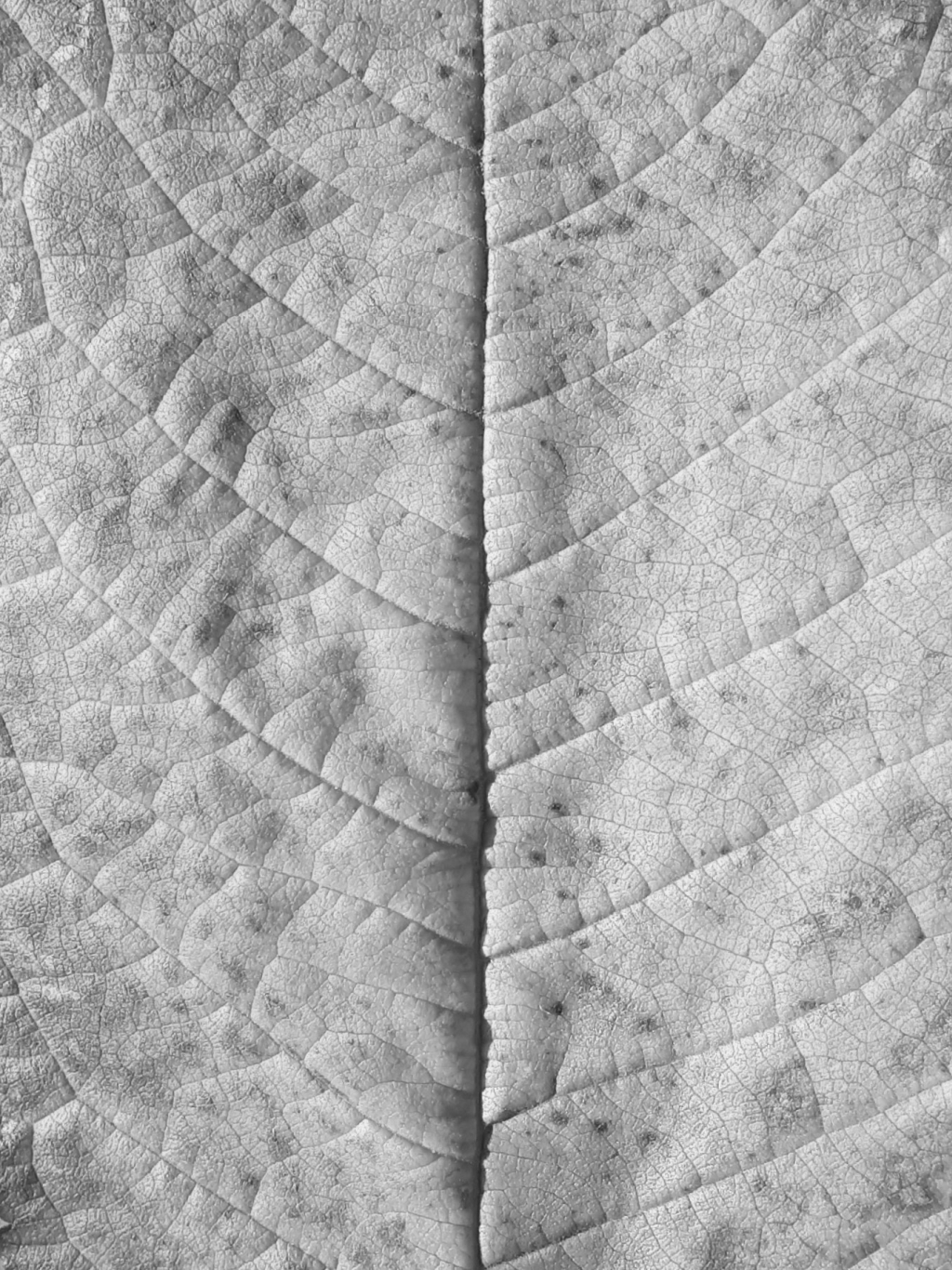 20181011_174223~2.jpg