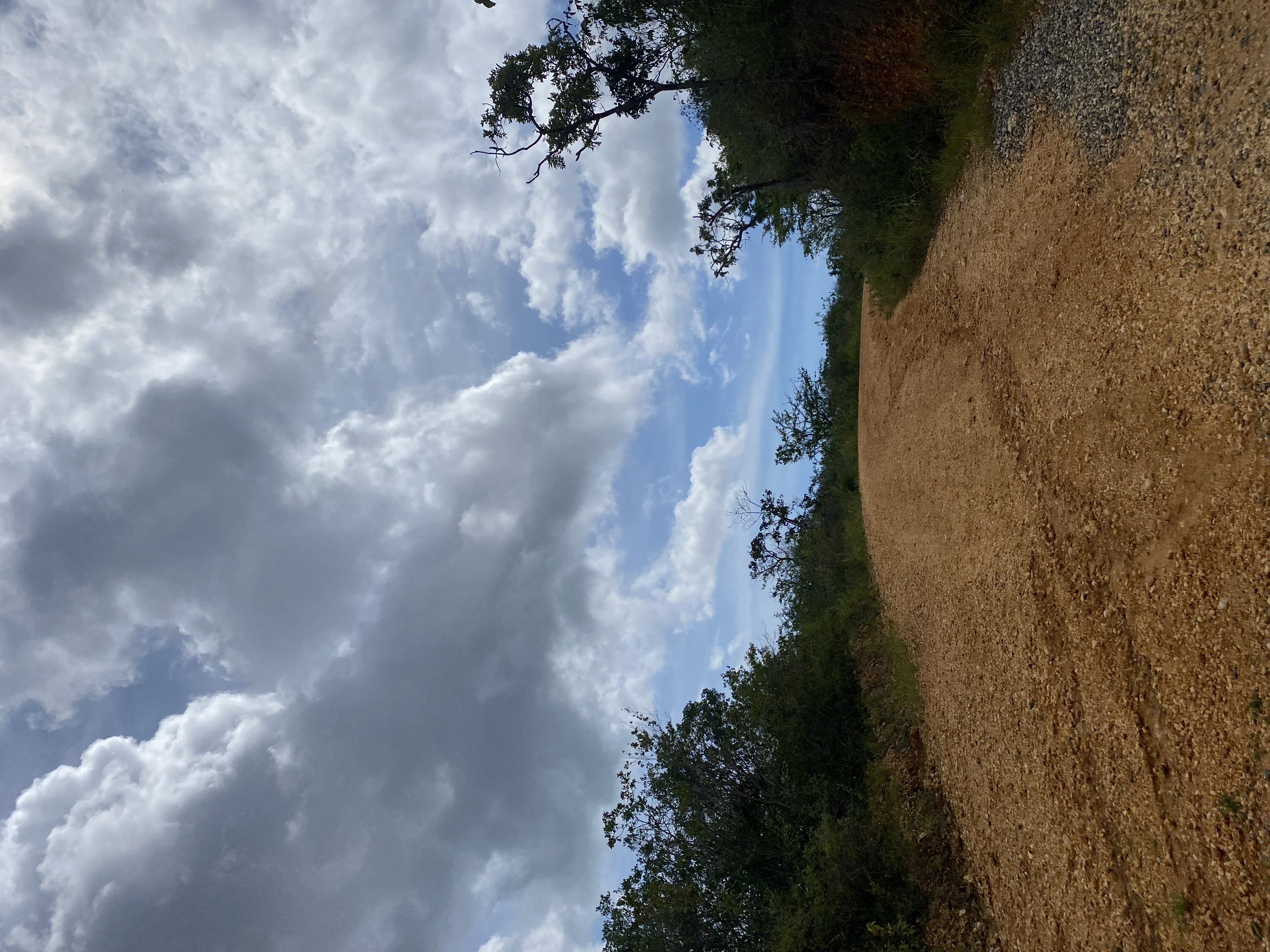 IMG_0021.jpeg