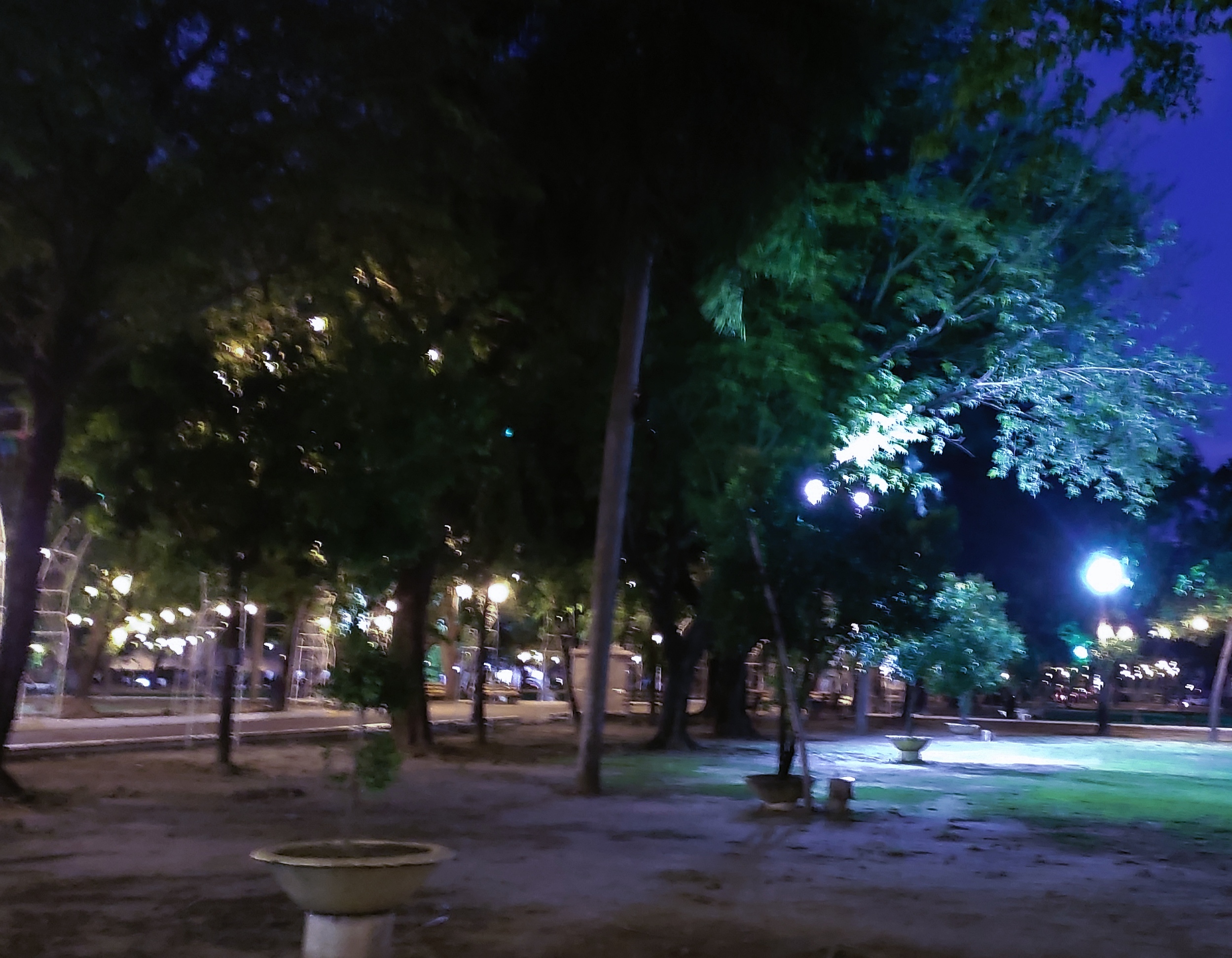 IMG_20250702_124729.jpg