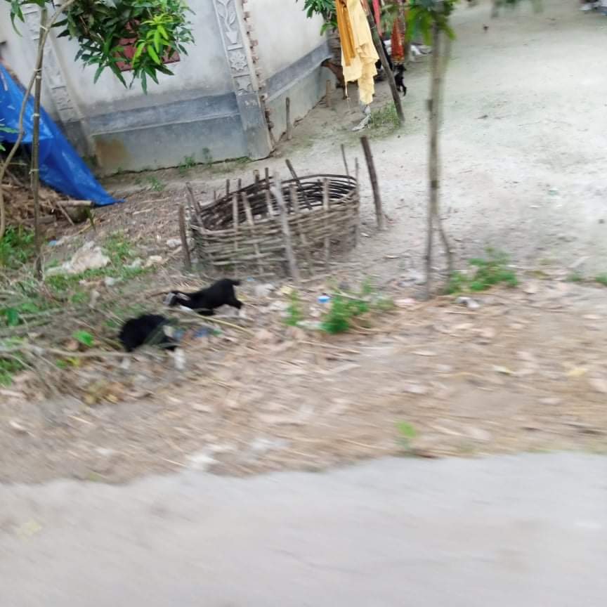 received_3012470609009732.jpeg