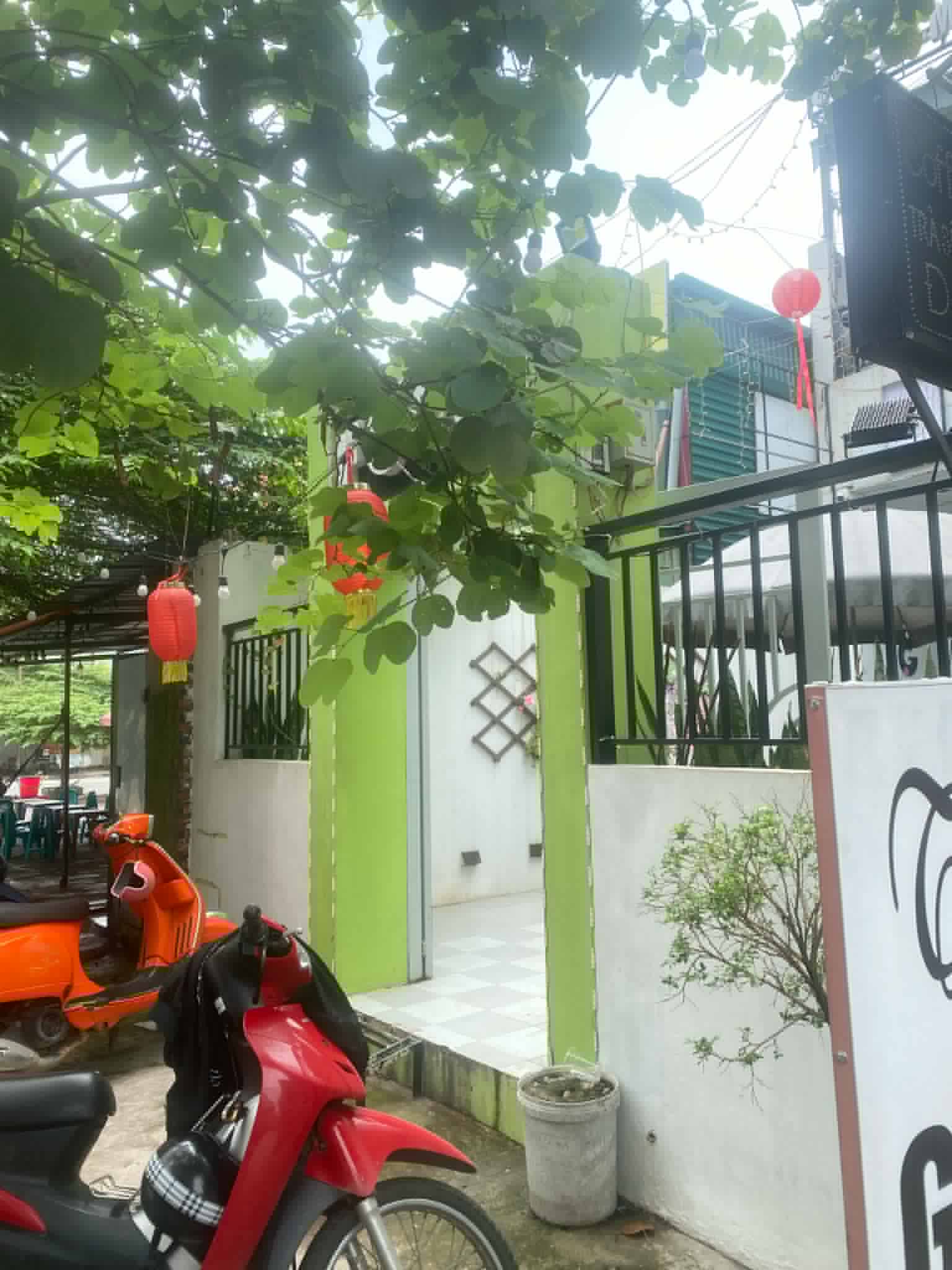 tải xuống.jpg