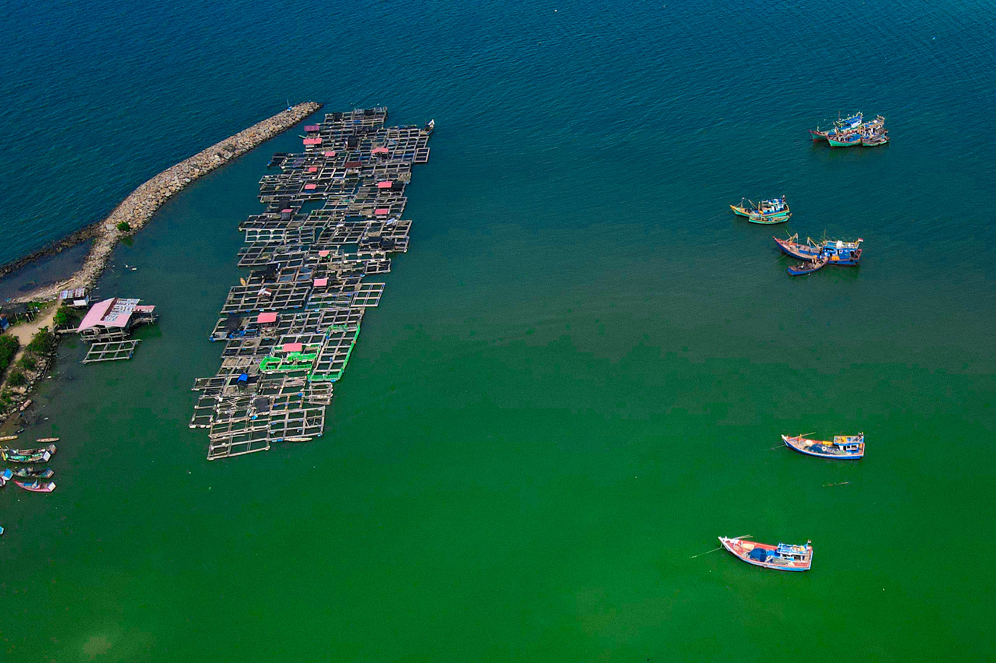 dji_fly_photo (4).jpg